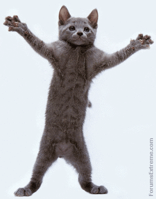 f0a7a3765a3c1465075b97add2af038e.gif