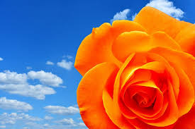 B95BEA2E-EBBA-4386-8BF0-EB05CAF01108.jpeg