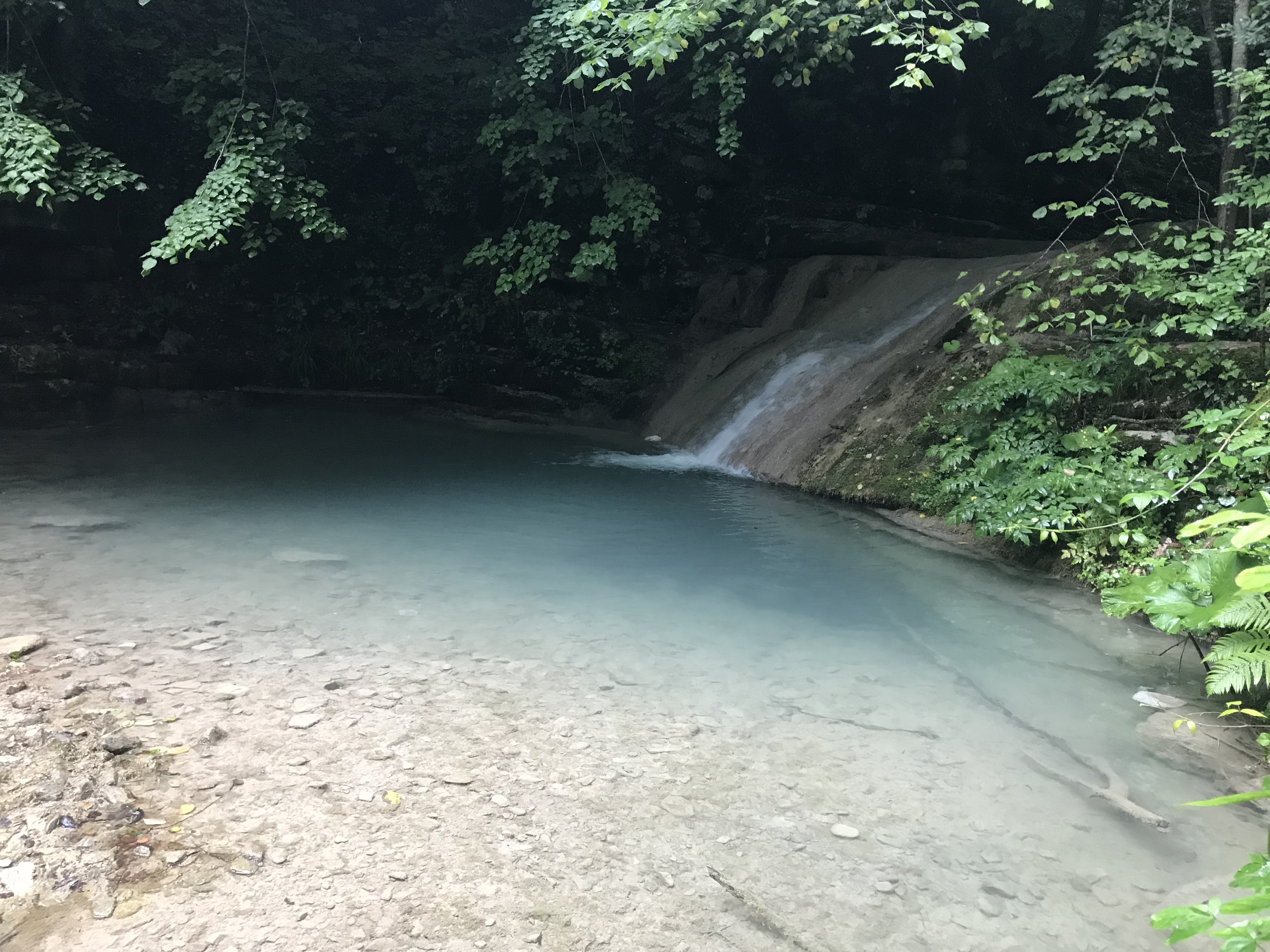8727666D-49A8-486D-89C7-21BC052A0E5C.jpeg