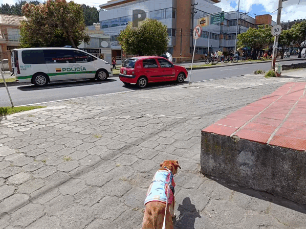 127829.gif