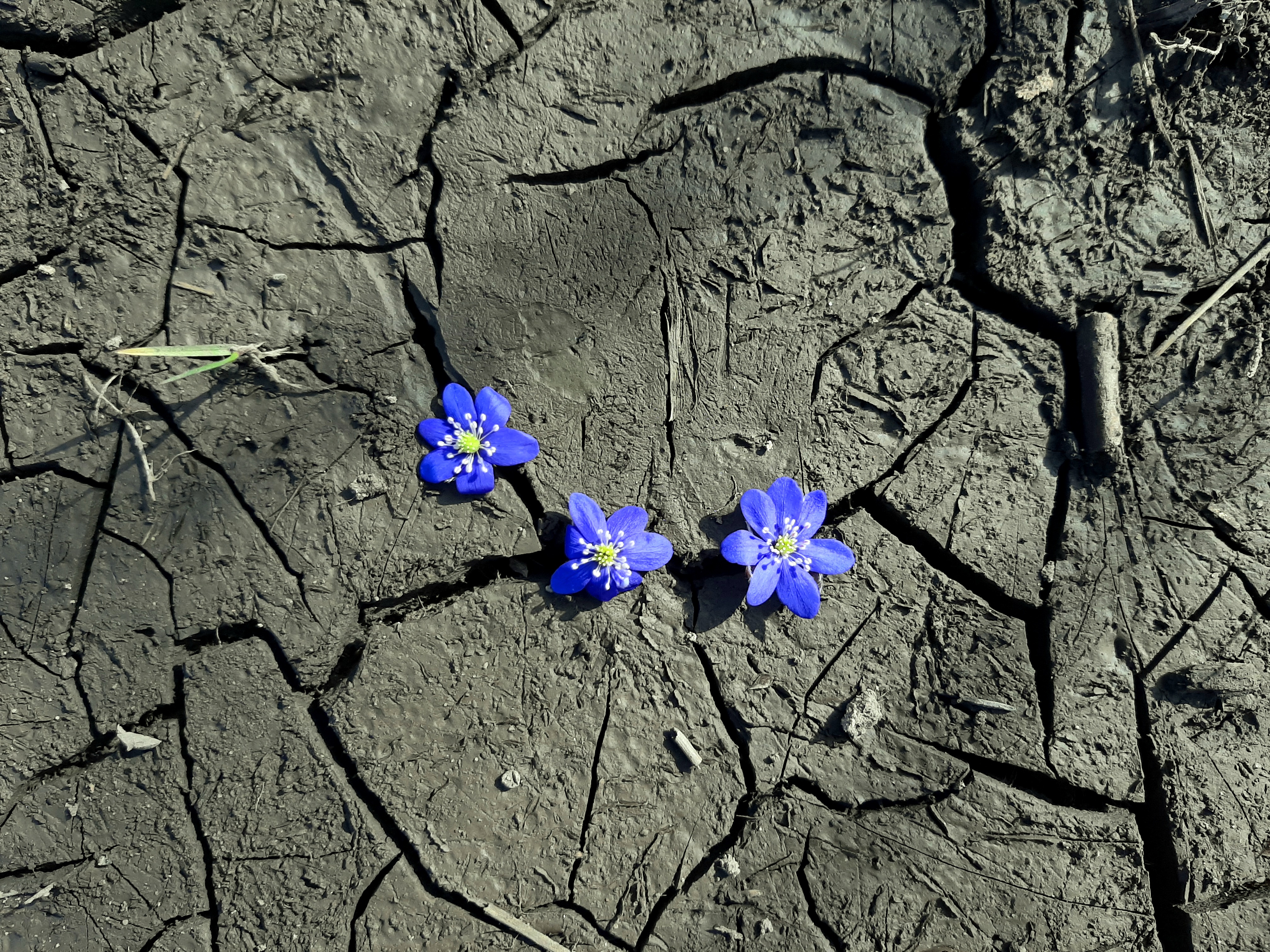 20260326_104113.jpg