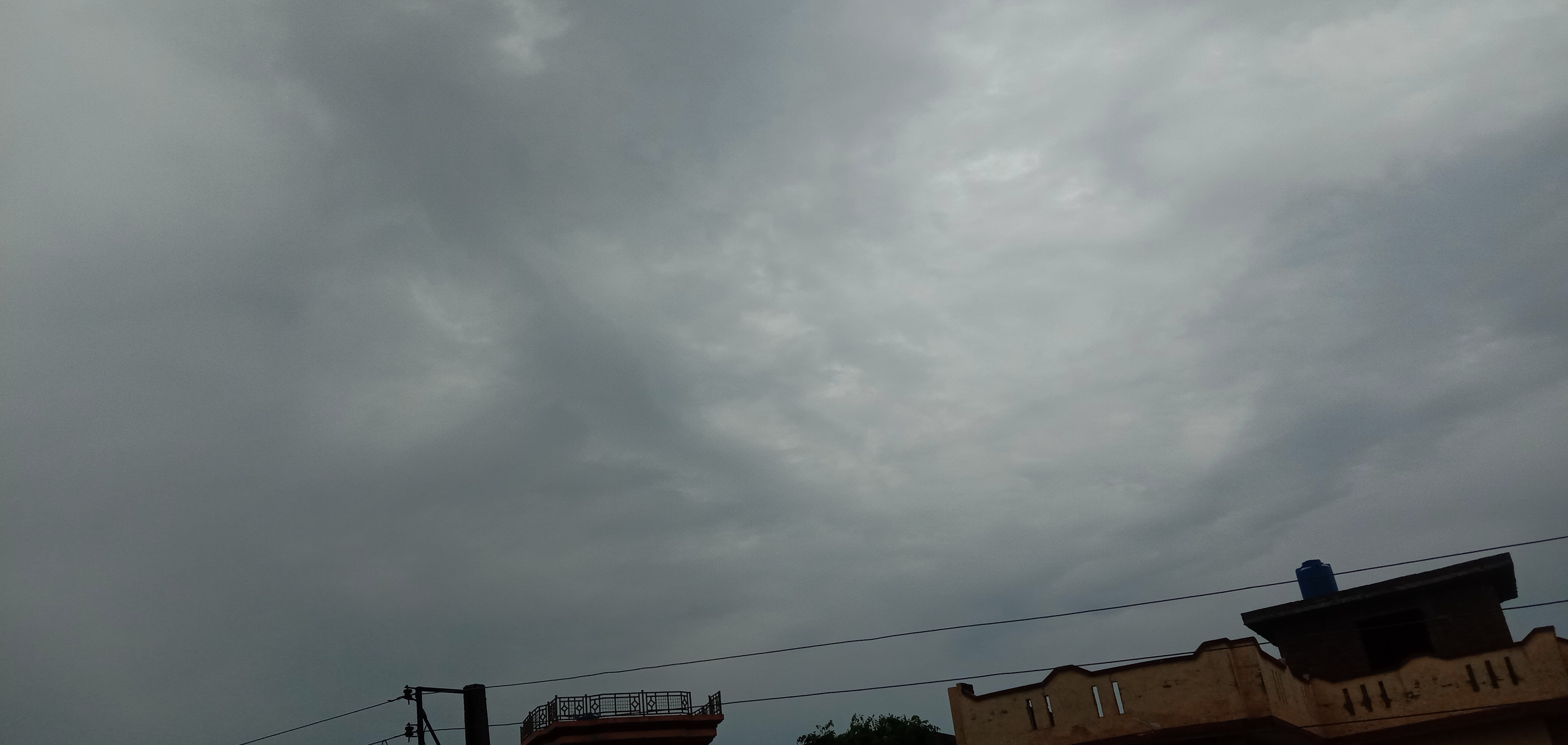 IMG_20230324_144211.jpg