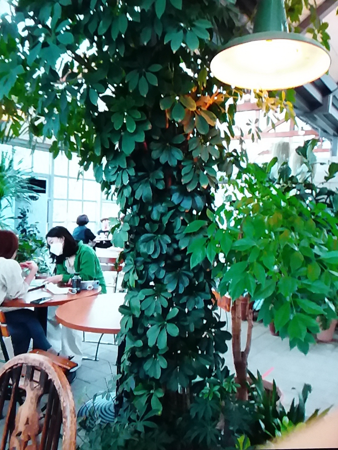 20200728_215107.jpg