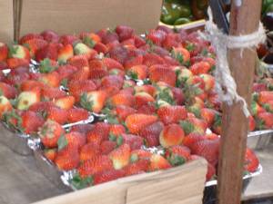 fresas.jpg
