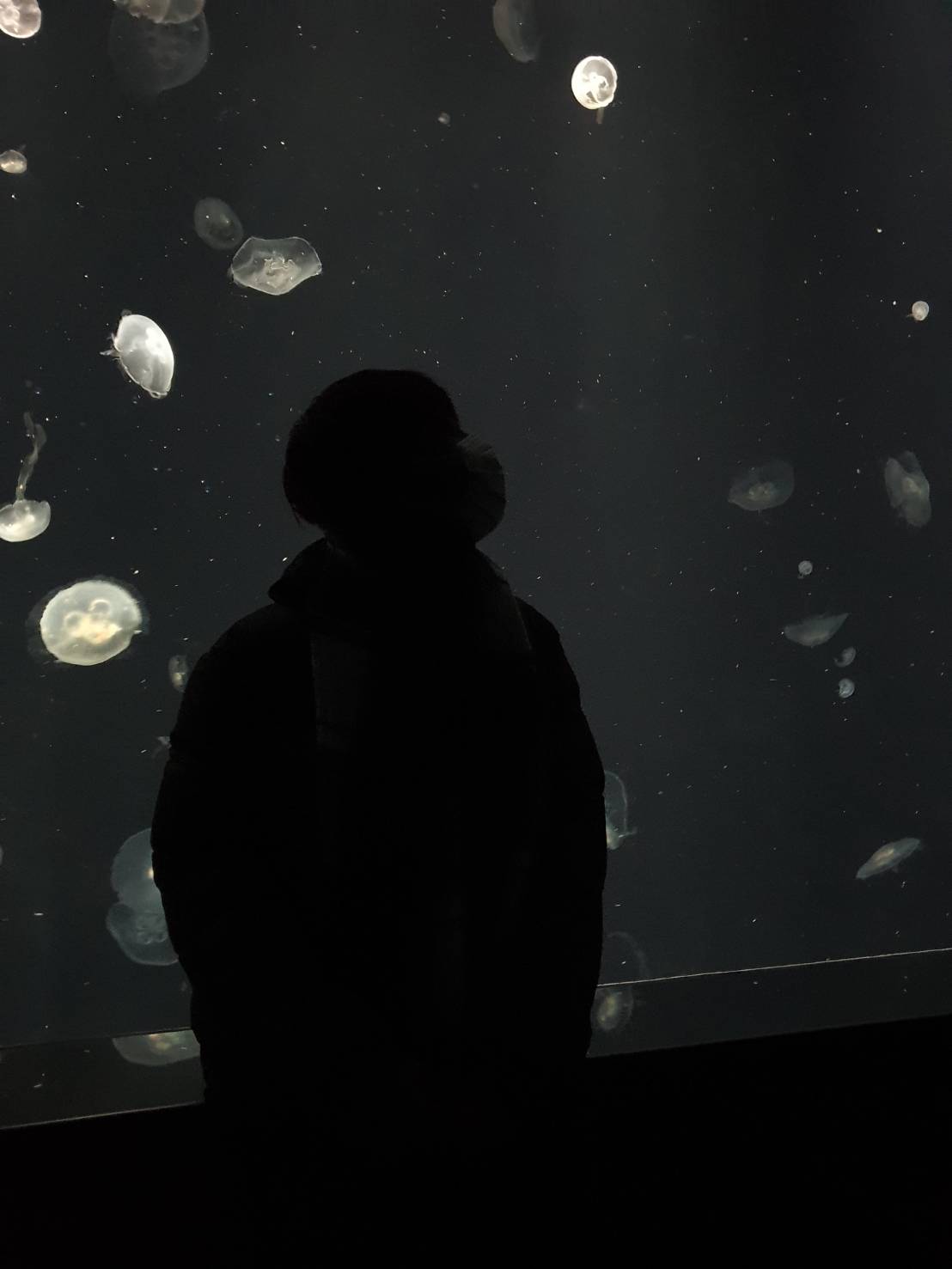 9FDCE944-498C-4327-AE59-CA442023E418.jpeg