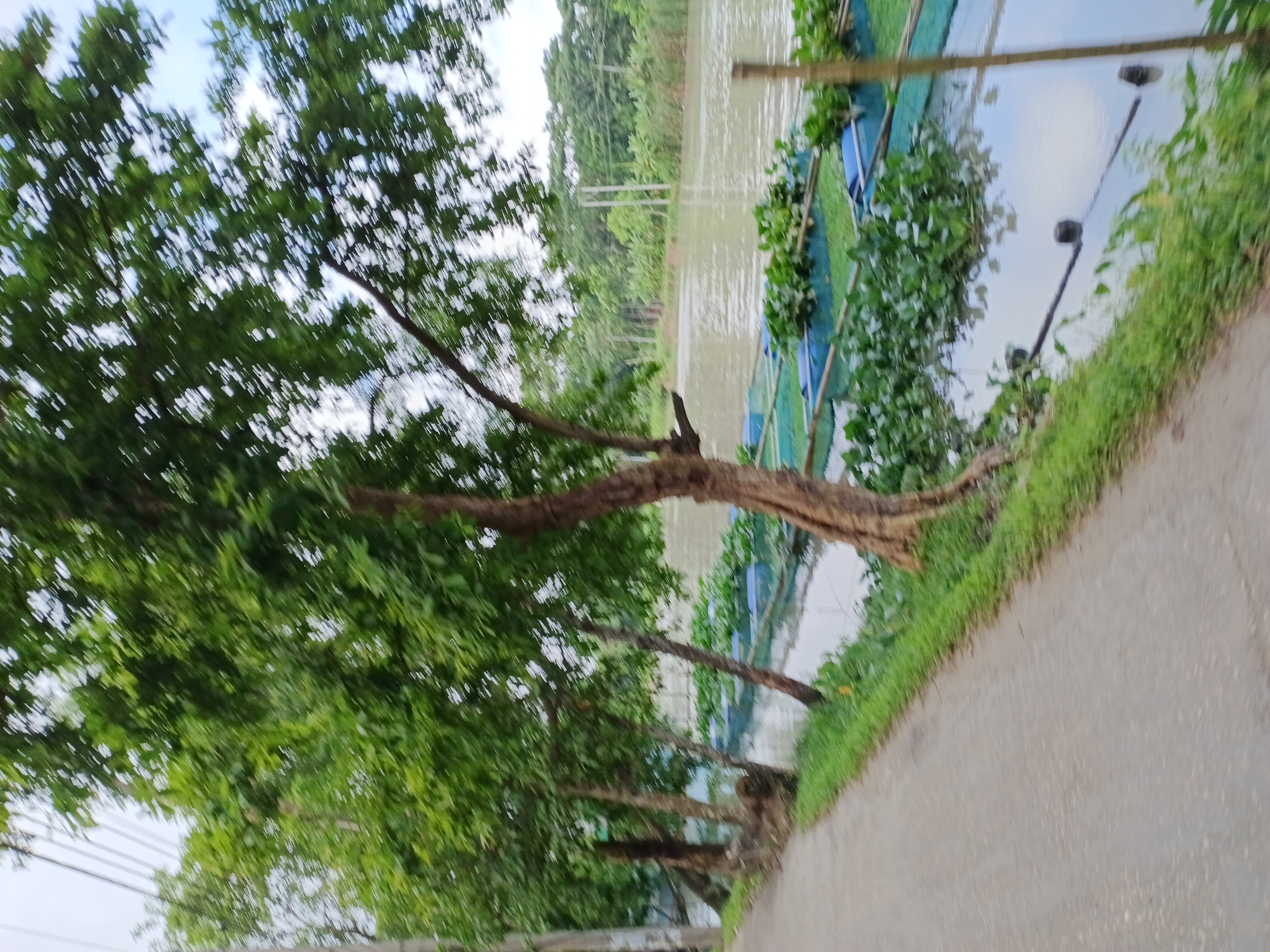 47056.jpg