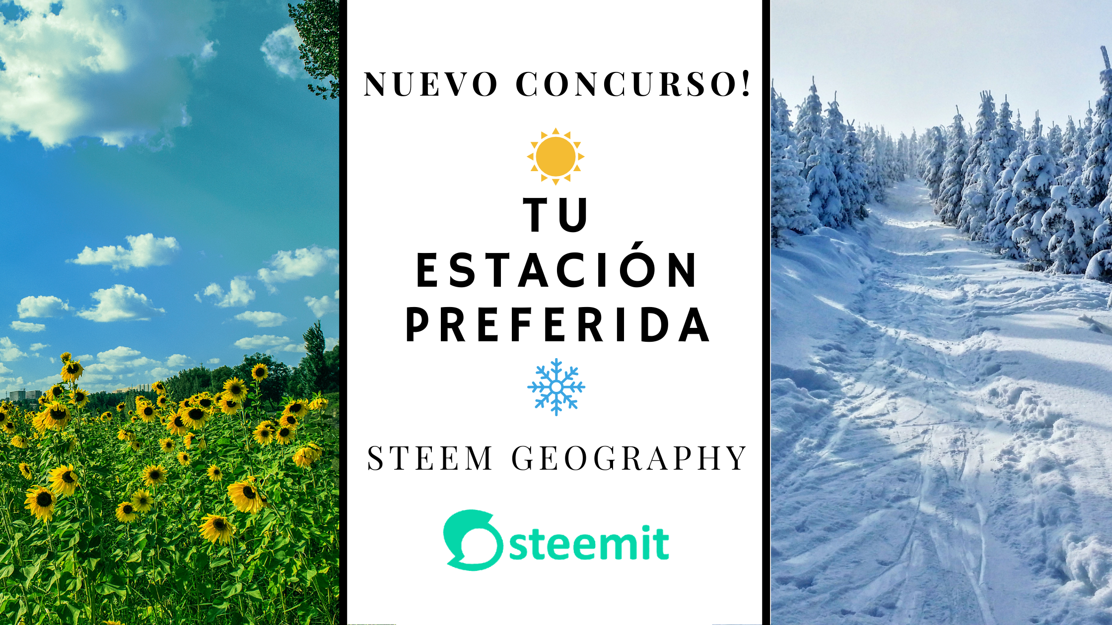 cÓMO SERÍA STEEMIT SI FUERA UNA PERSONA_ (6).png