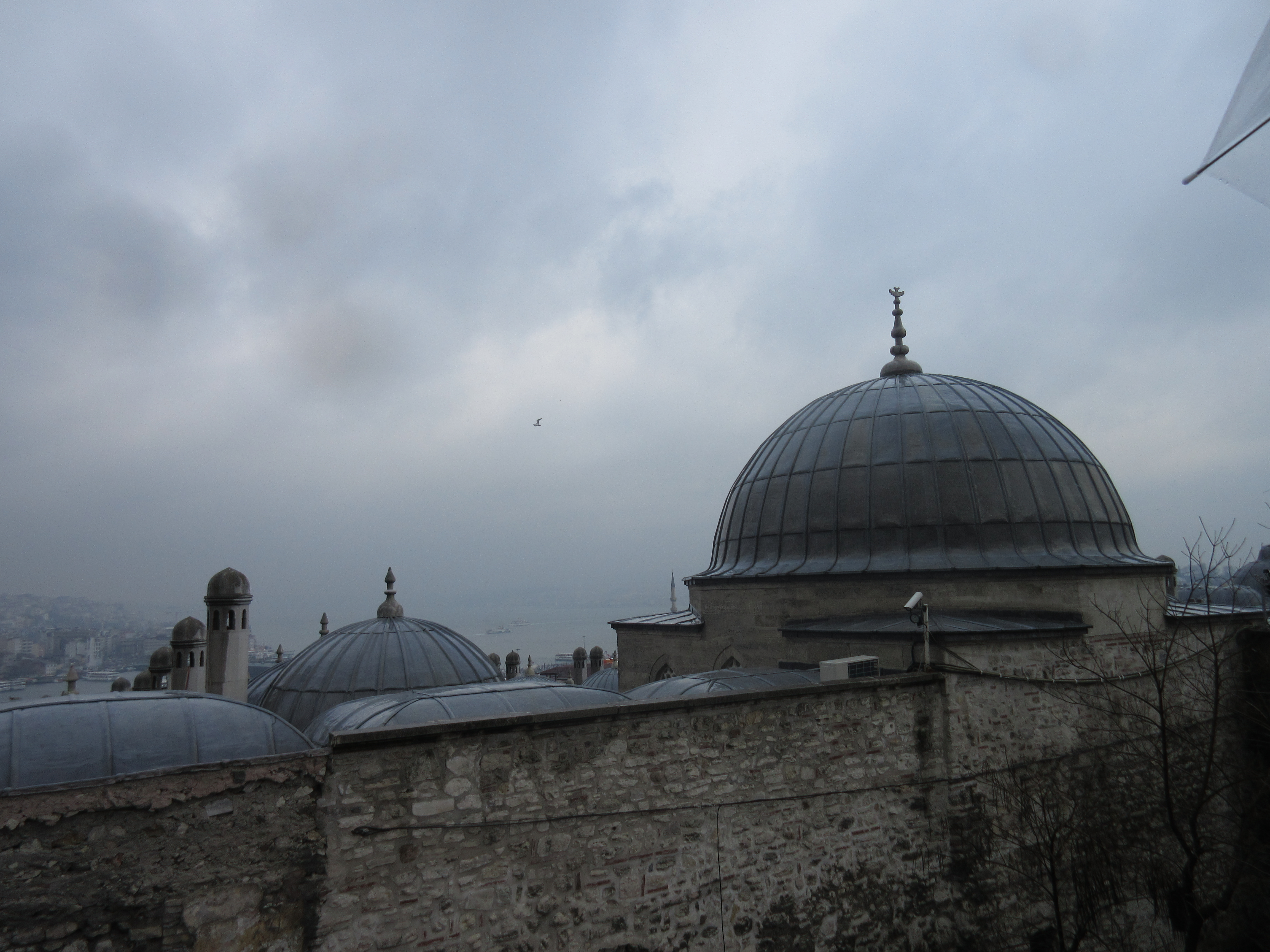 IMG_1423.JPG
