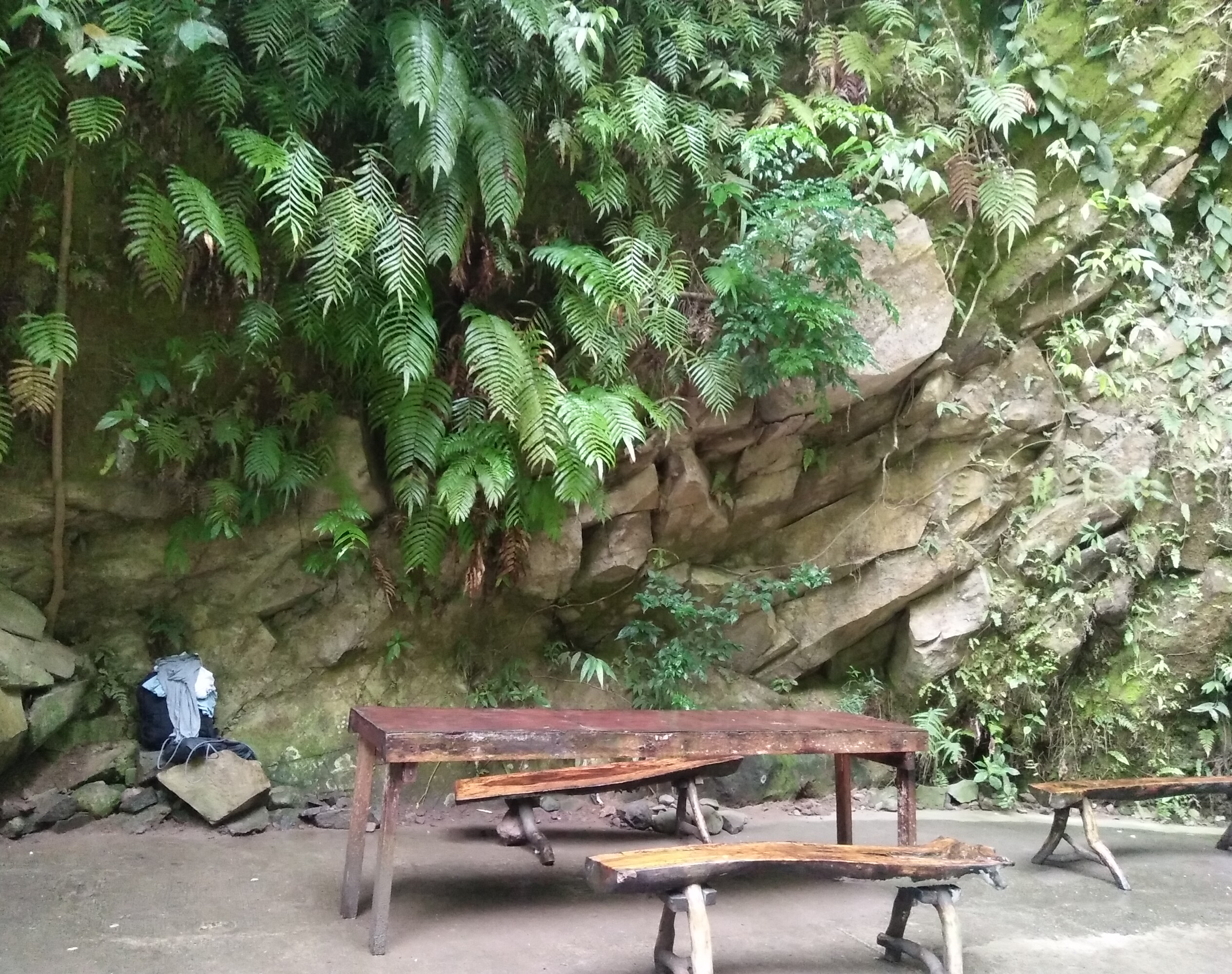 IMG20180605110454.jpg