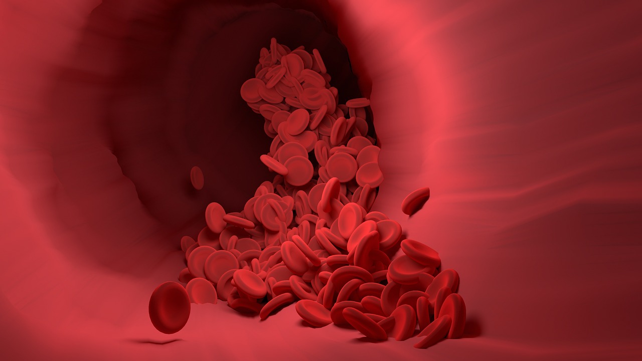 red-blood-cells-4256710_1280 (1).jpg