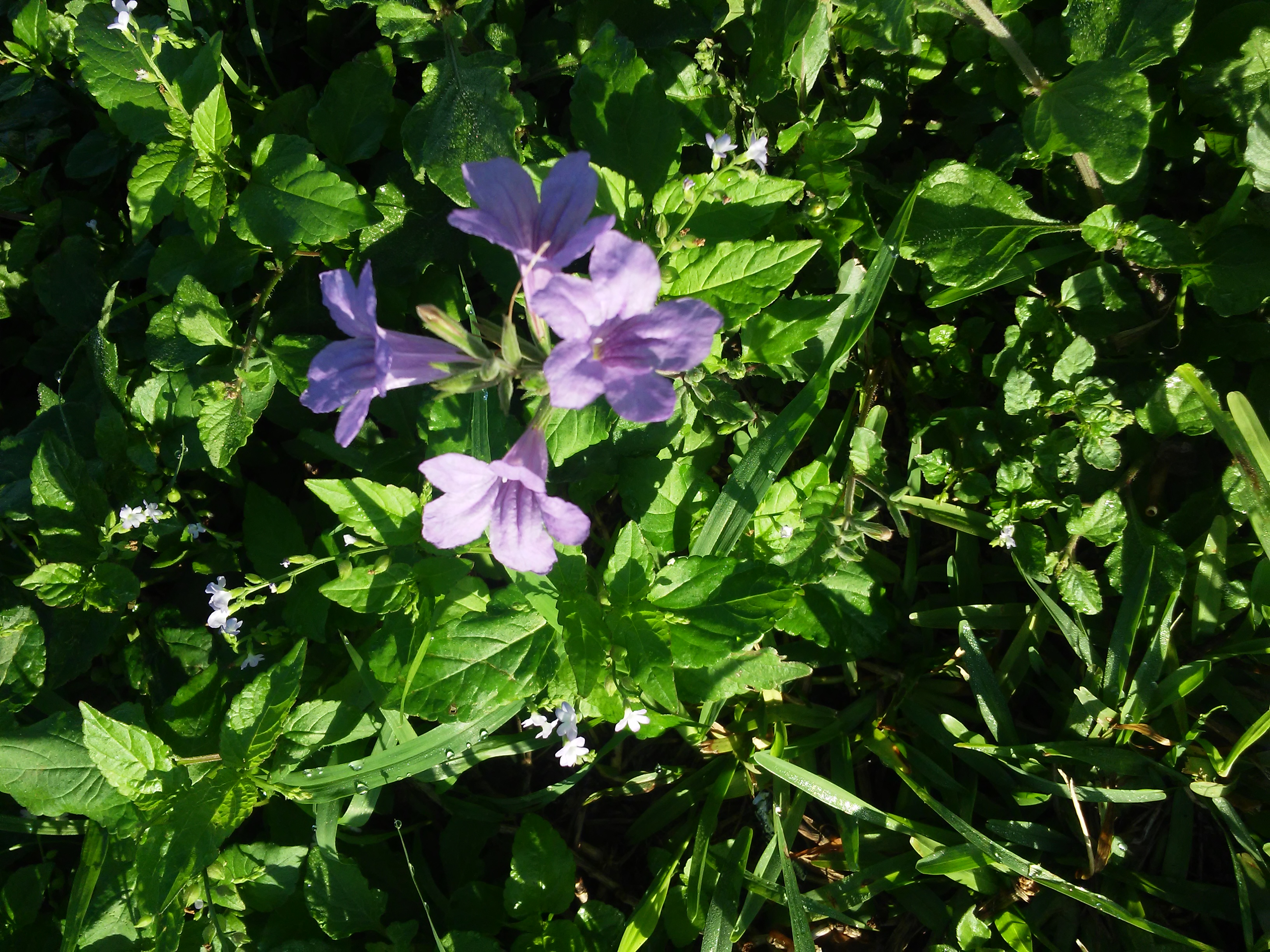 20181021_081412.jpg