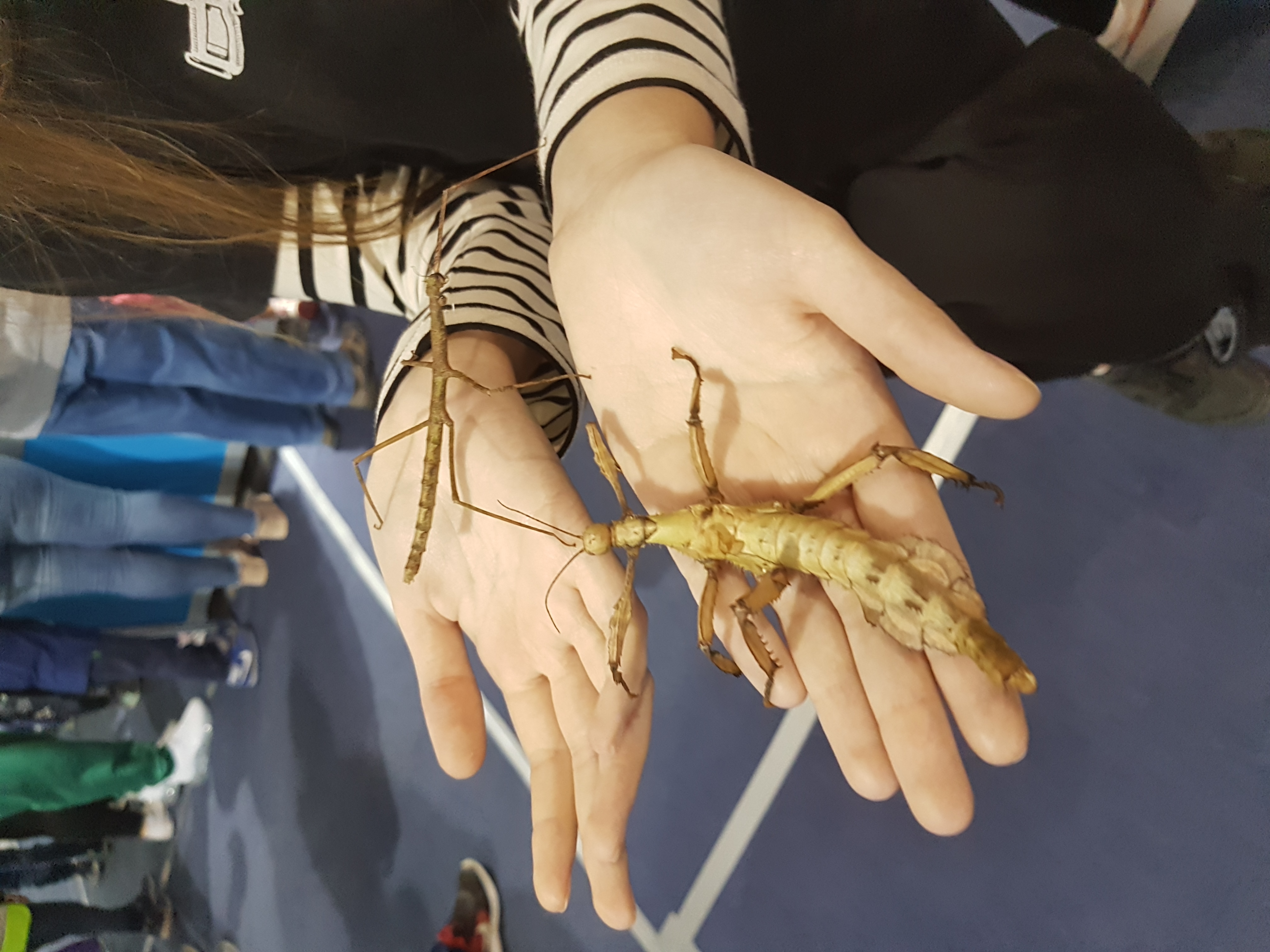 20191025_103911.jpg