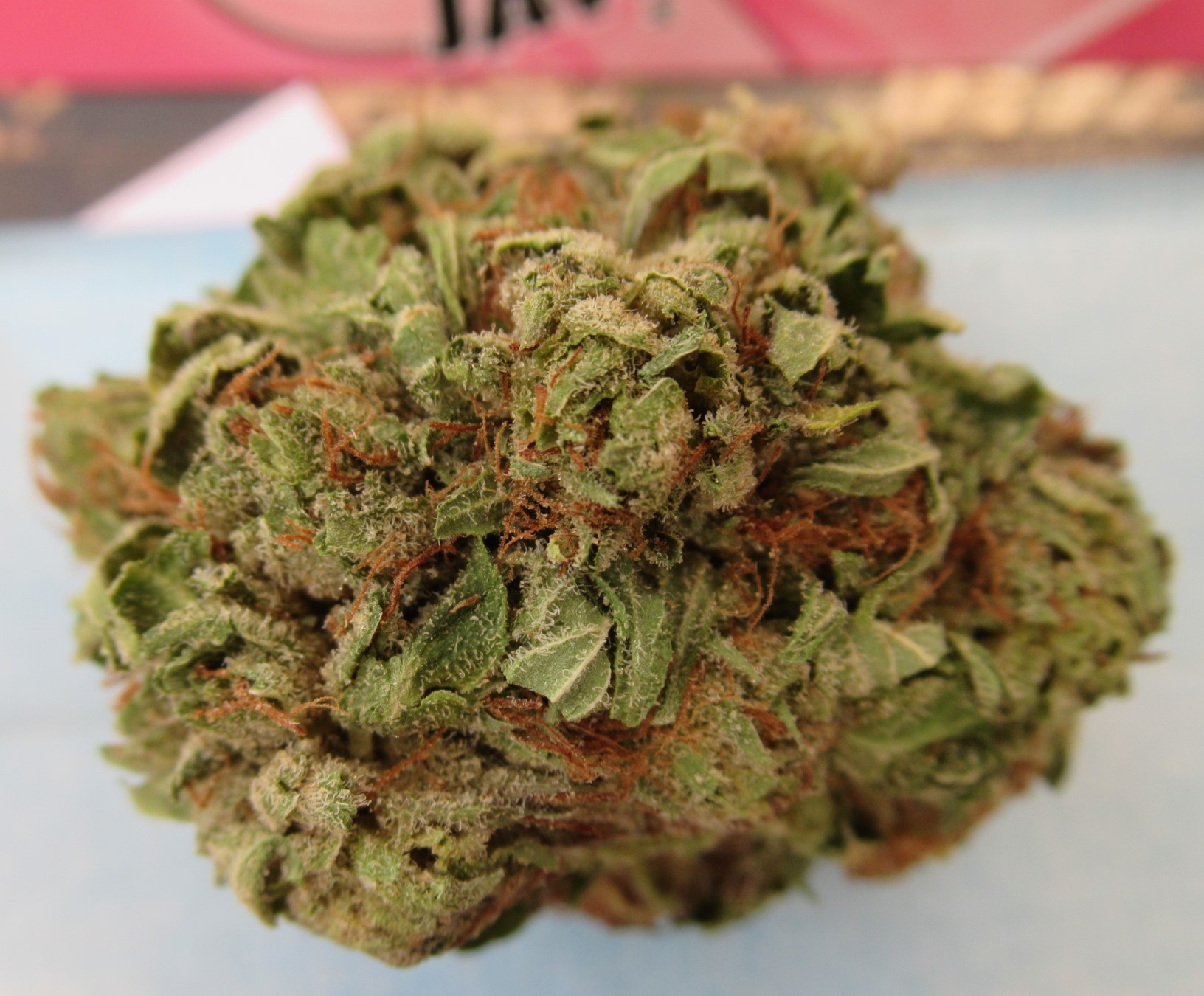 fullnugtop.jpg