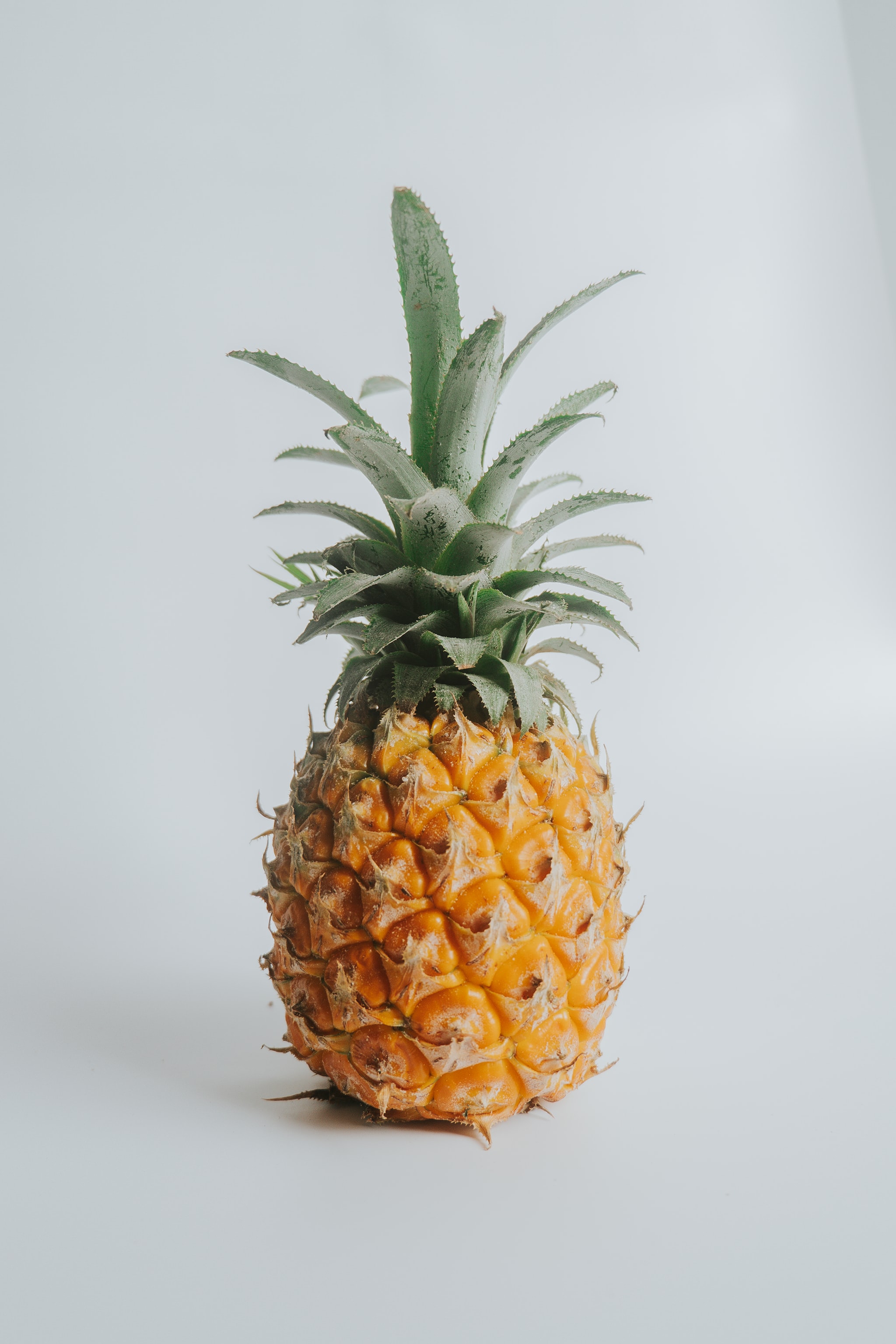 nguyen-ngoc-tung-ZkG4JdoMANM-unsplash.jpg