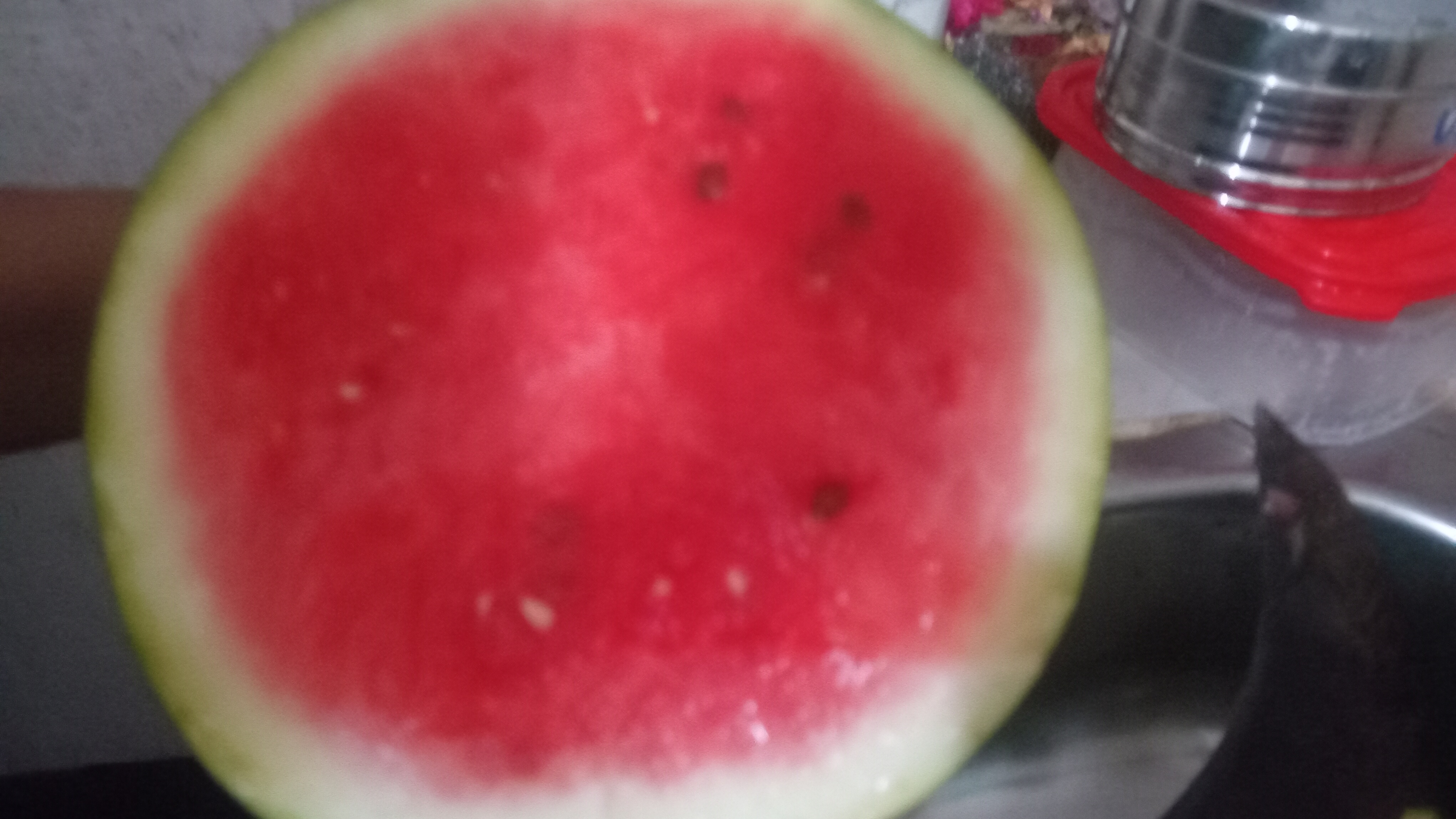 20260413_204334.jpg