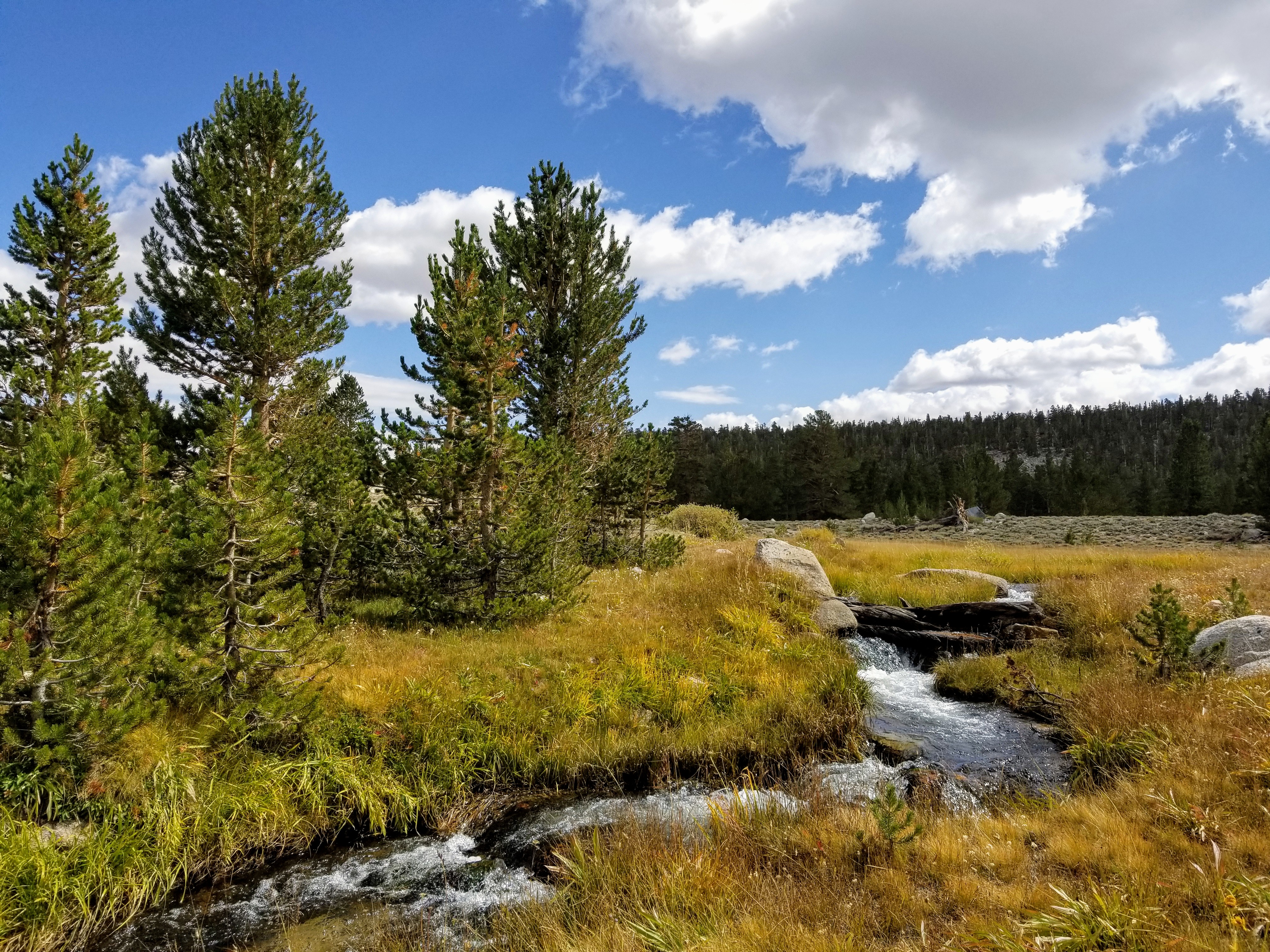 20190923_131841.jpg