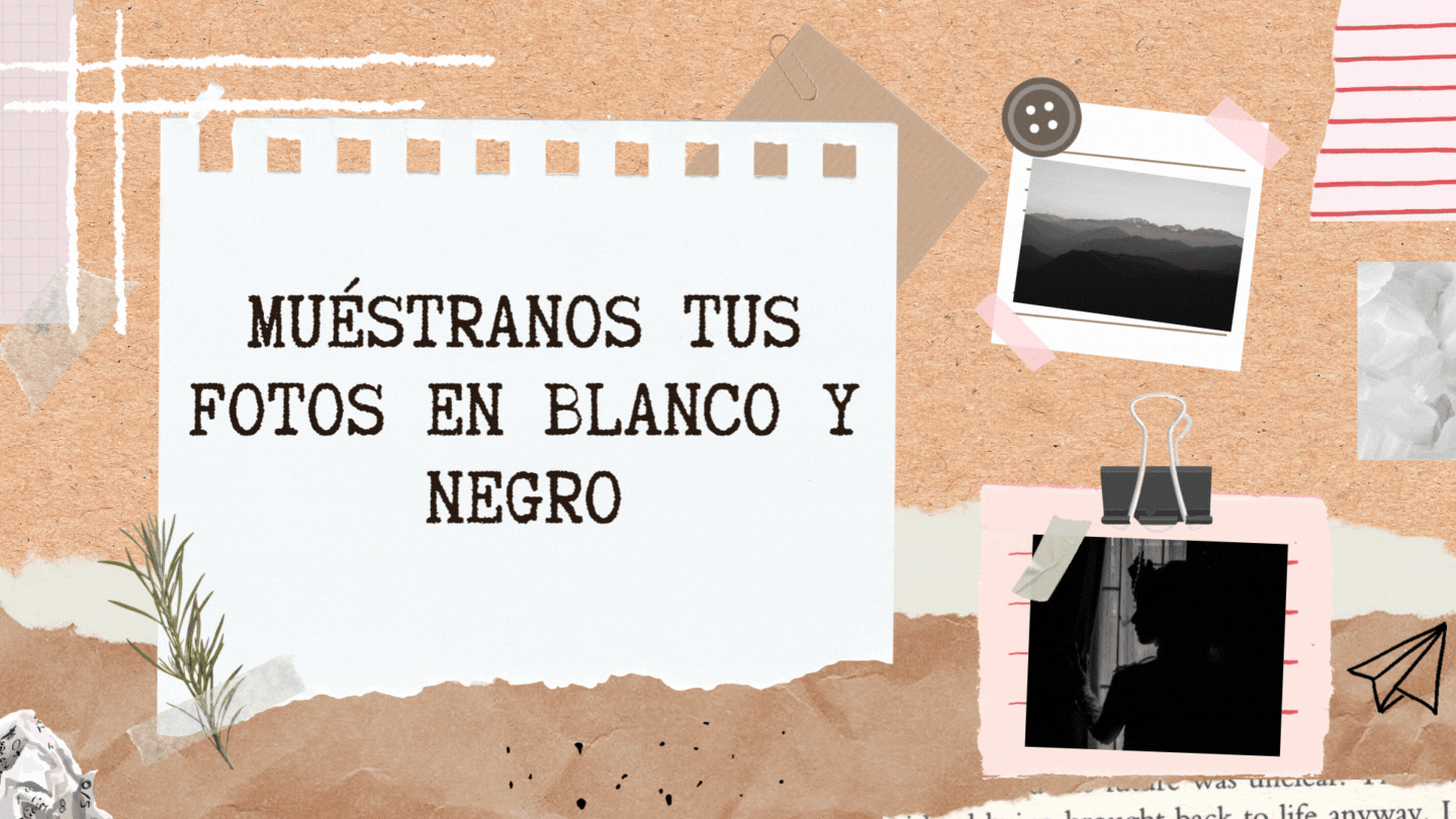 Muestranos tus fotos en blanco y negro.gif