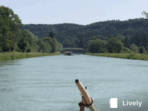 E1CA5B7F-EB20-4178-BD46-BD98E1B5C434.gif