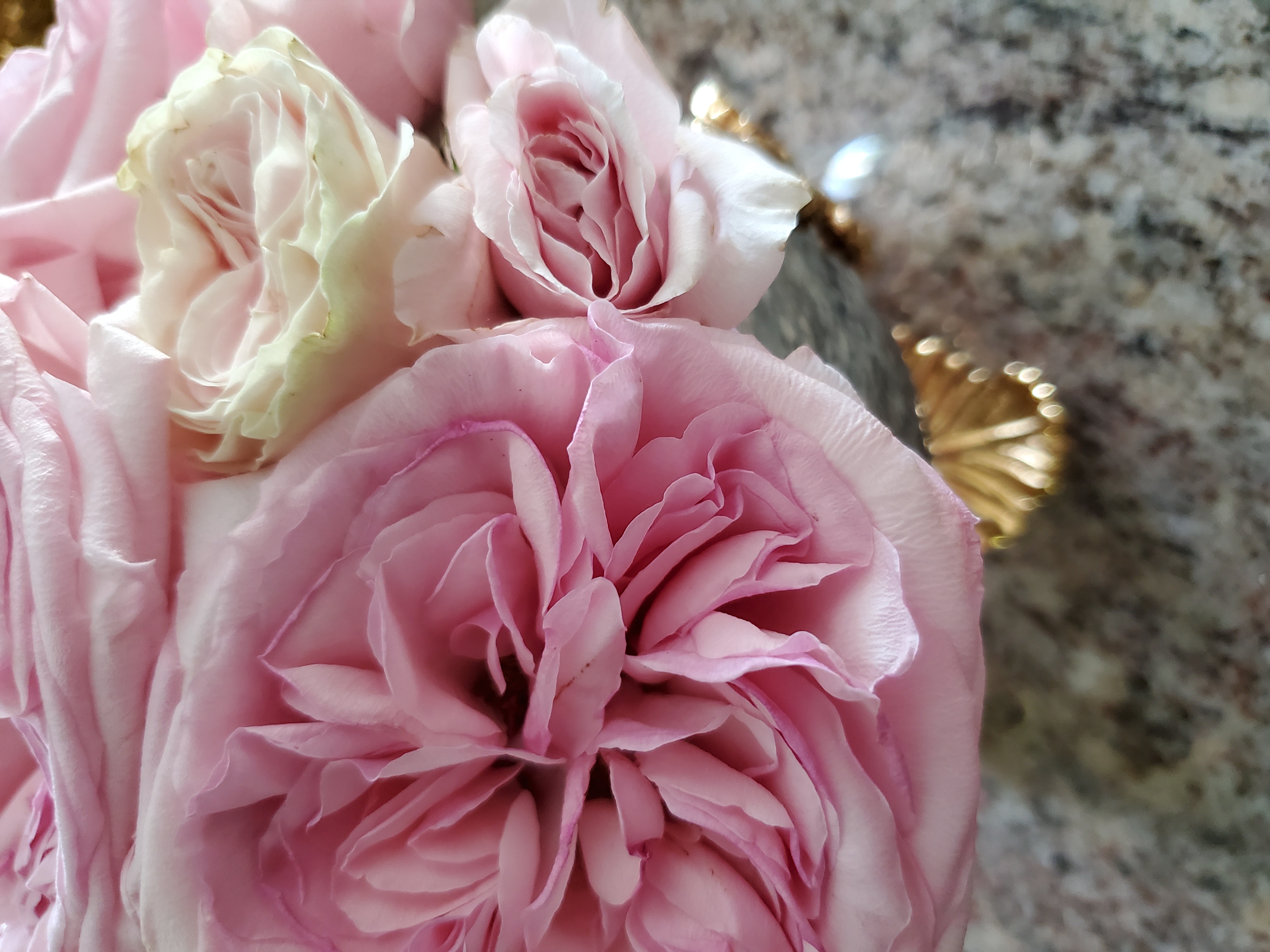 20200914_130614.jpg