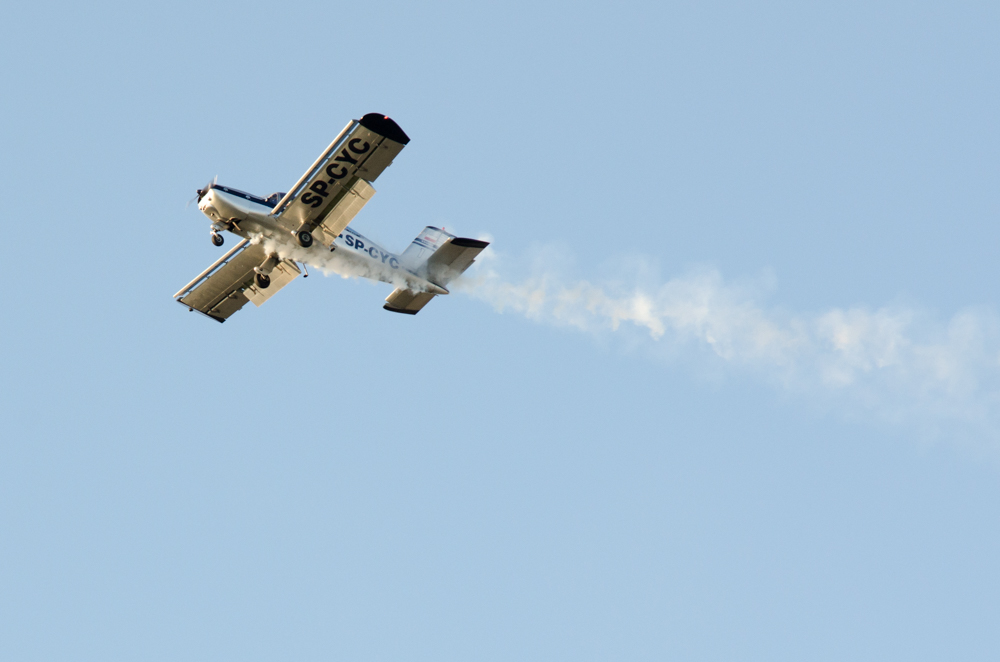 DSC_2445.jpg