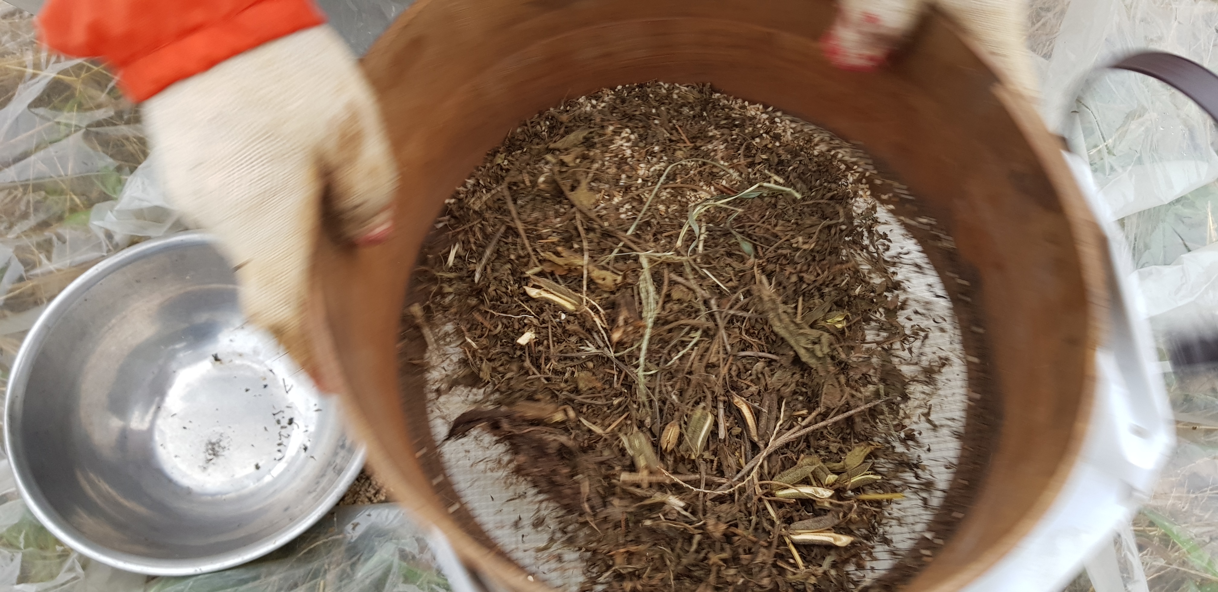 20190921_075509.jpg