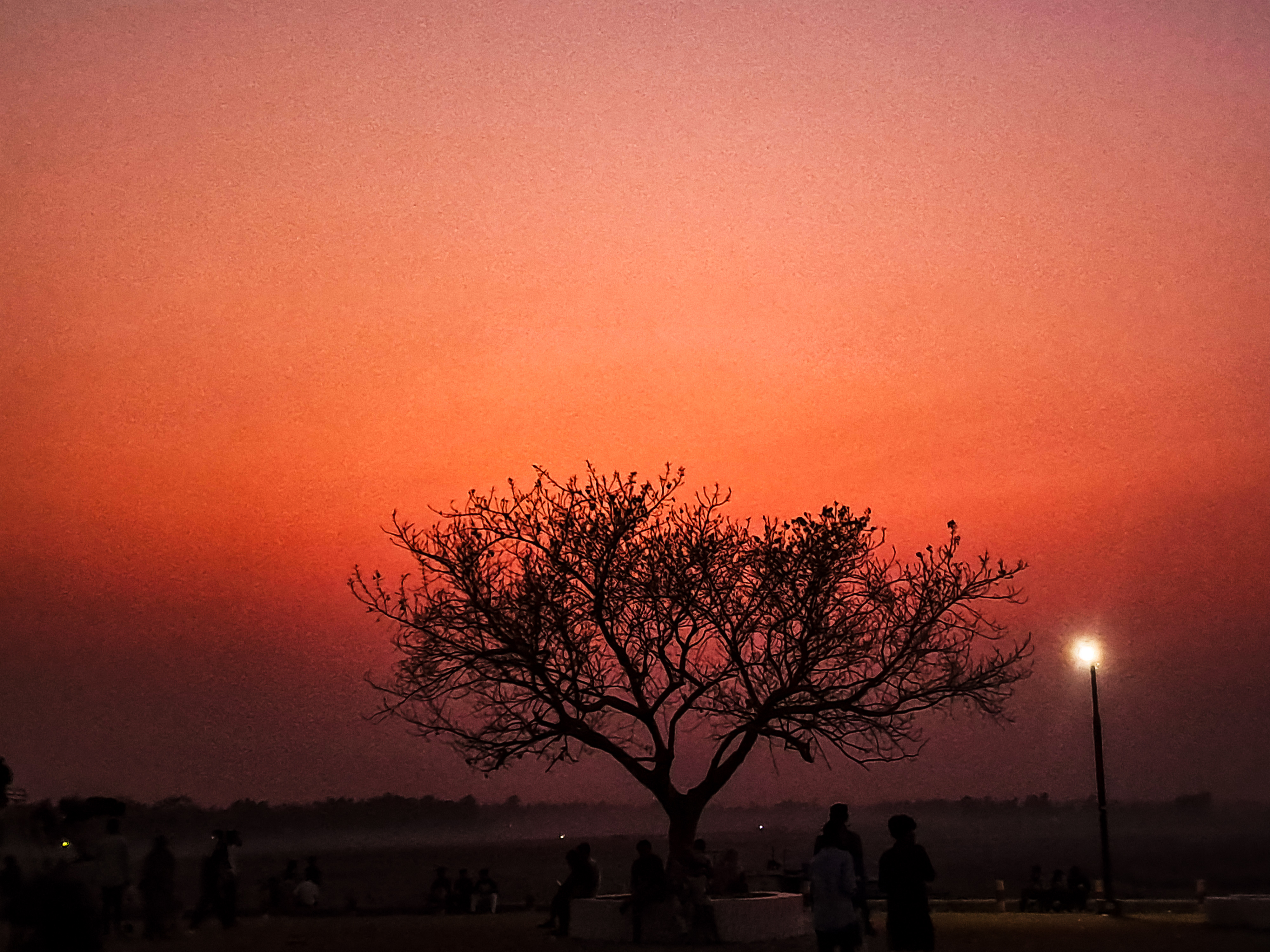 20250405_183840 (1).jpg