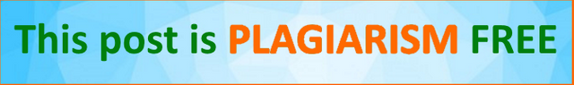 Plagiarism Banner.png