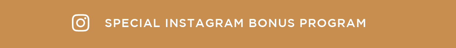 Special Instagram Bonus program.png