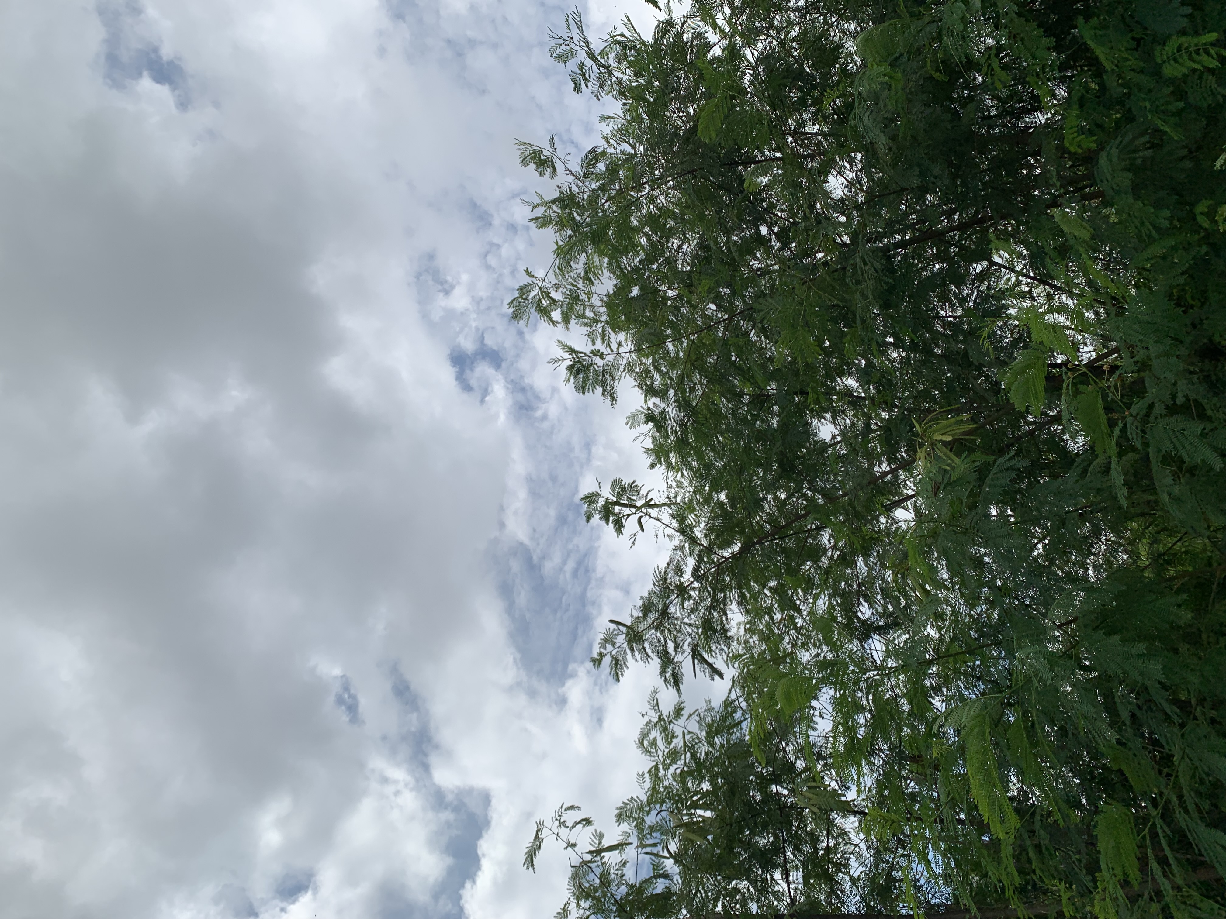 nature404.jpg