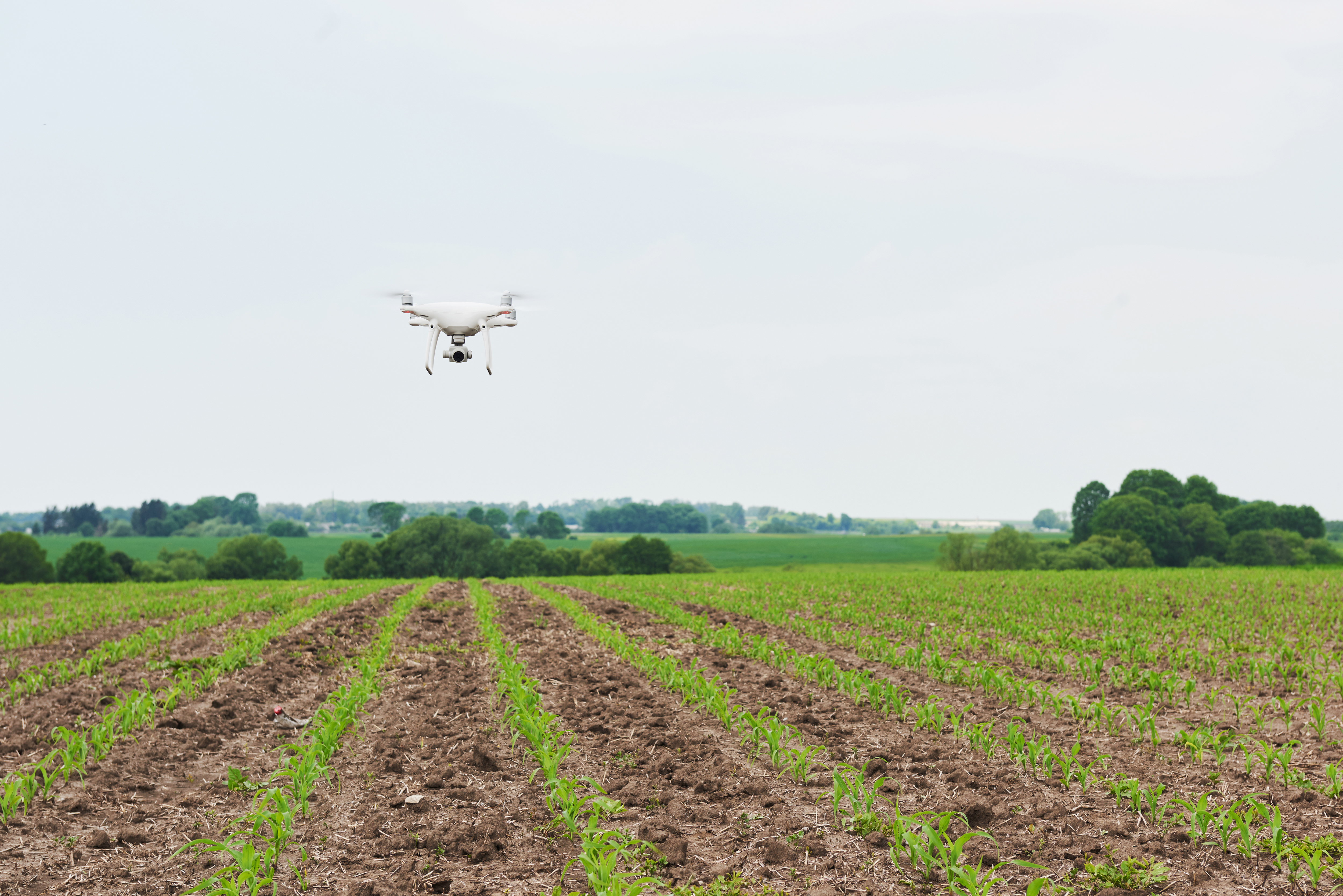 drone-quad-copter-with-high-resolution-digital-camera-green-corn-field.jpg