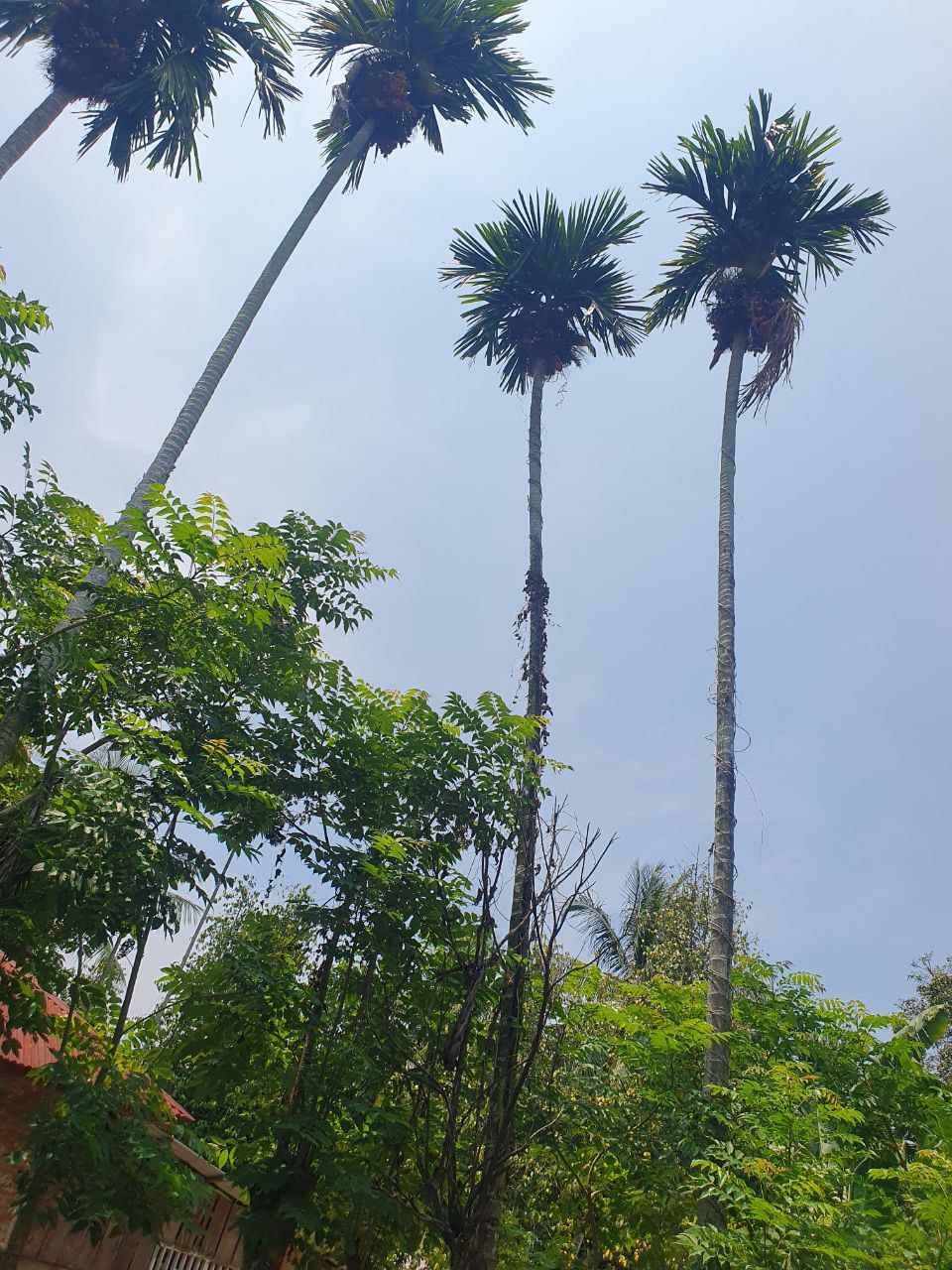20230415_131604.jpg