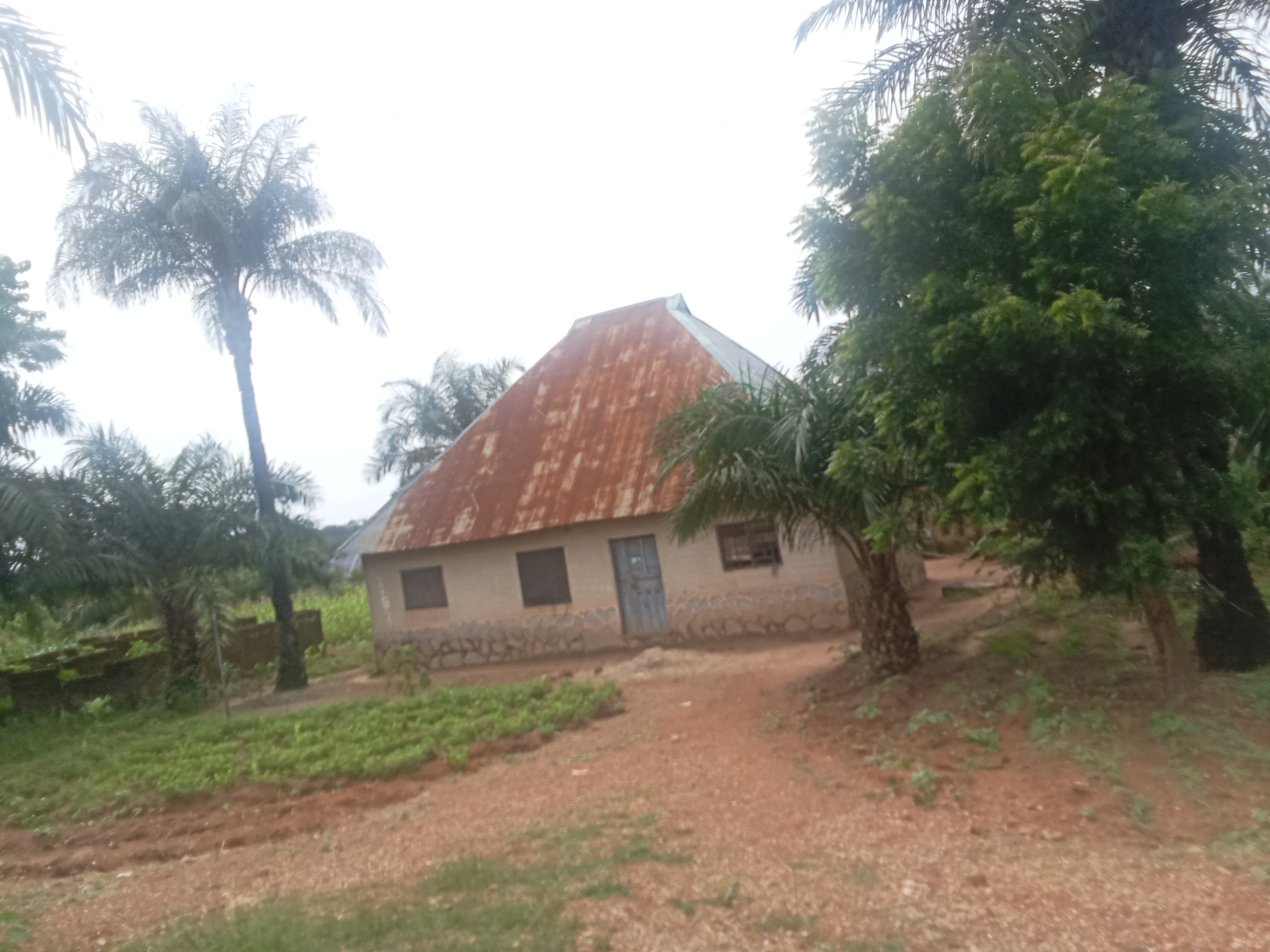 1000692449.jpg