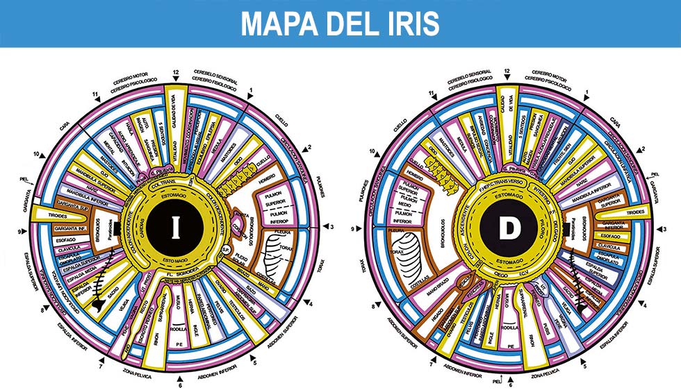 mapa-del-iris.jpg
