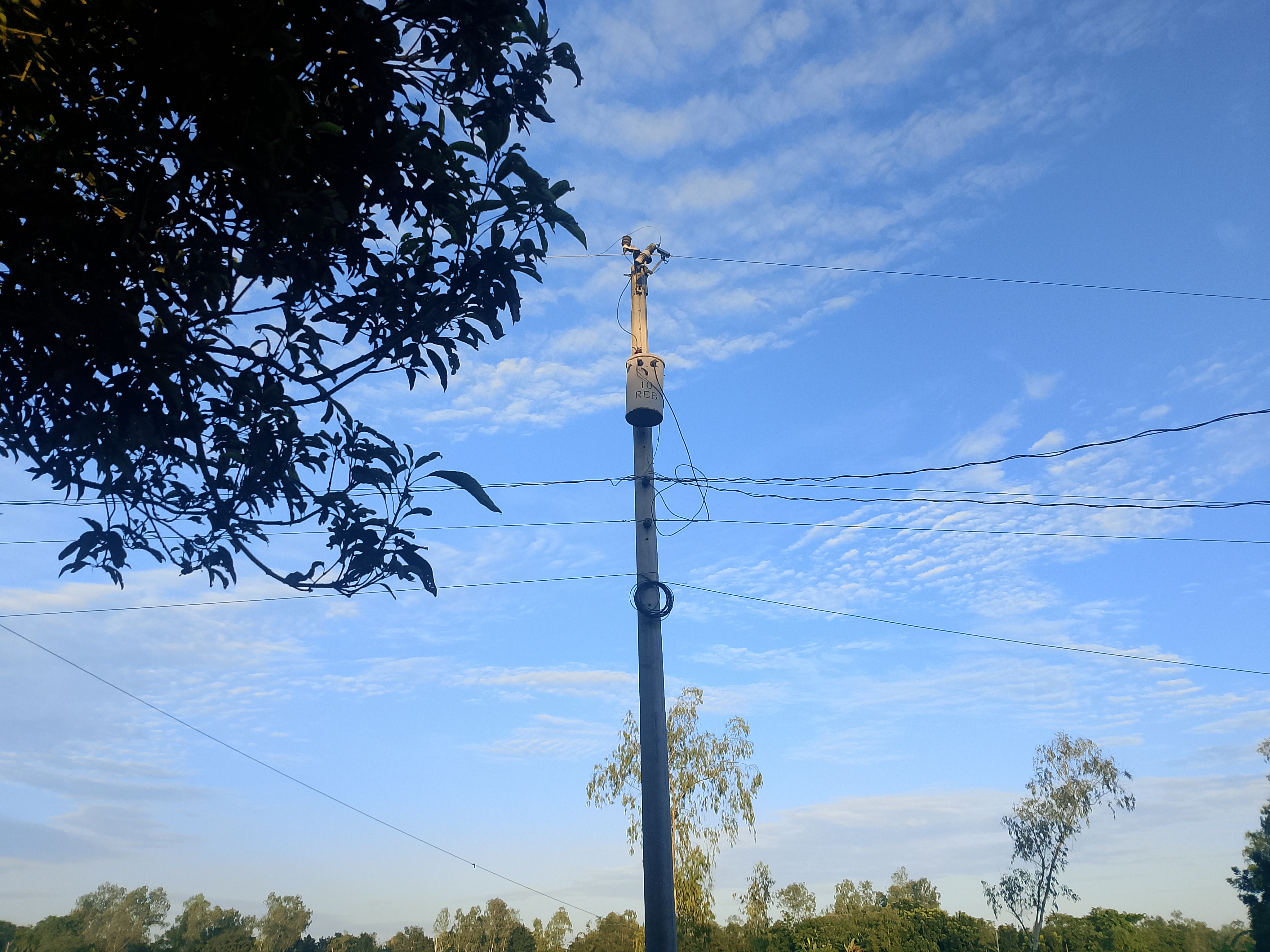 1000074955.jpg