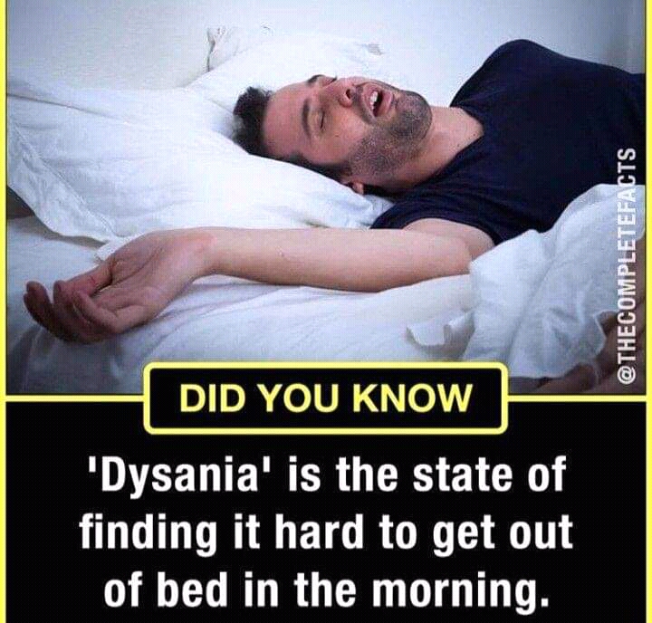 FB_IMG_16410609489805506.jpg