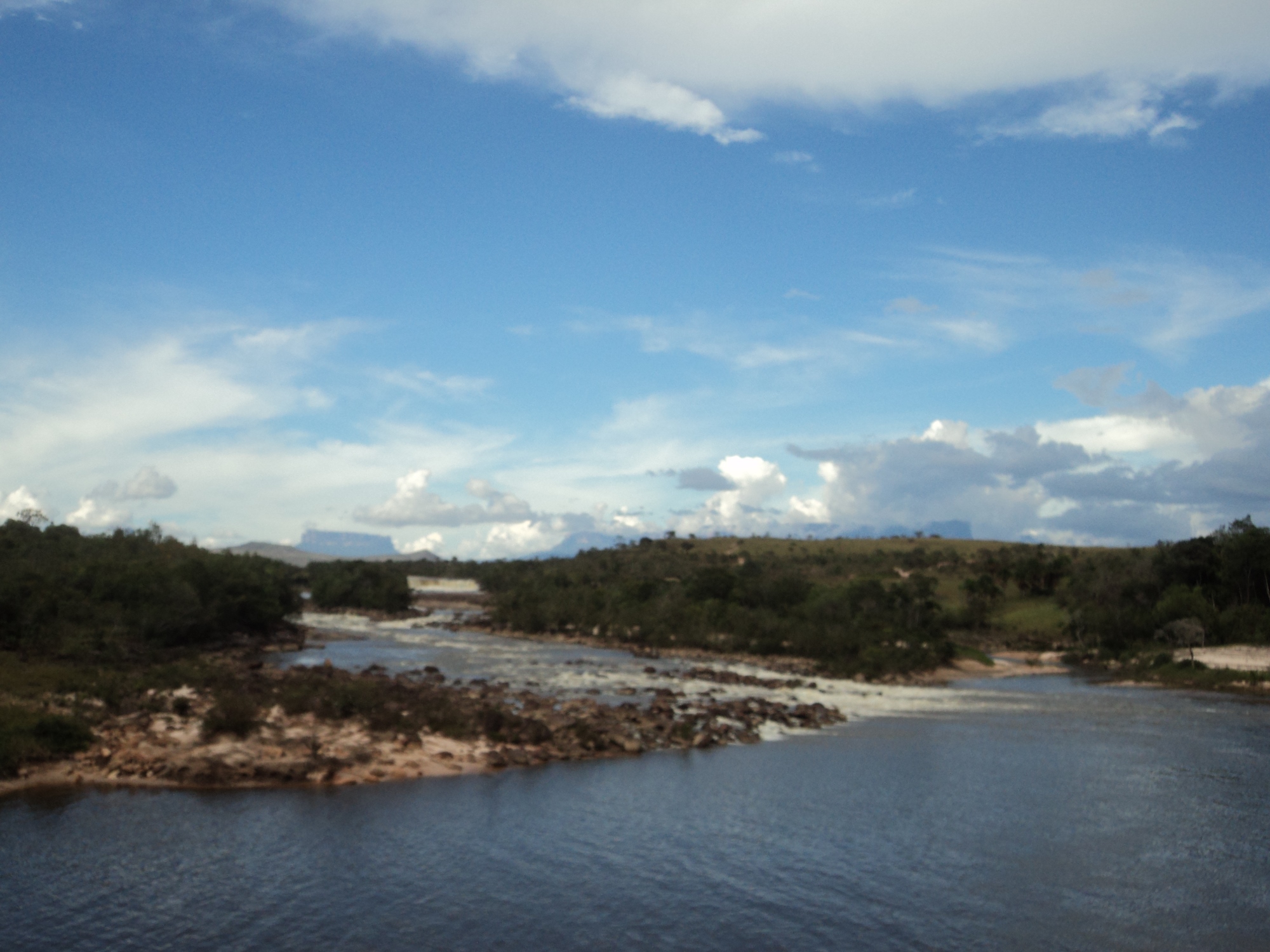 DSC01538a.jpg