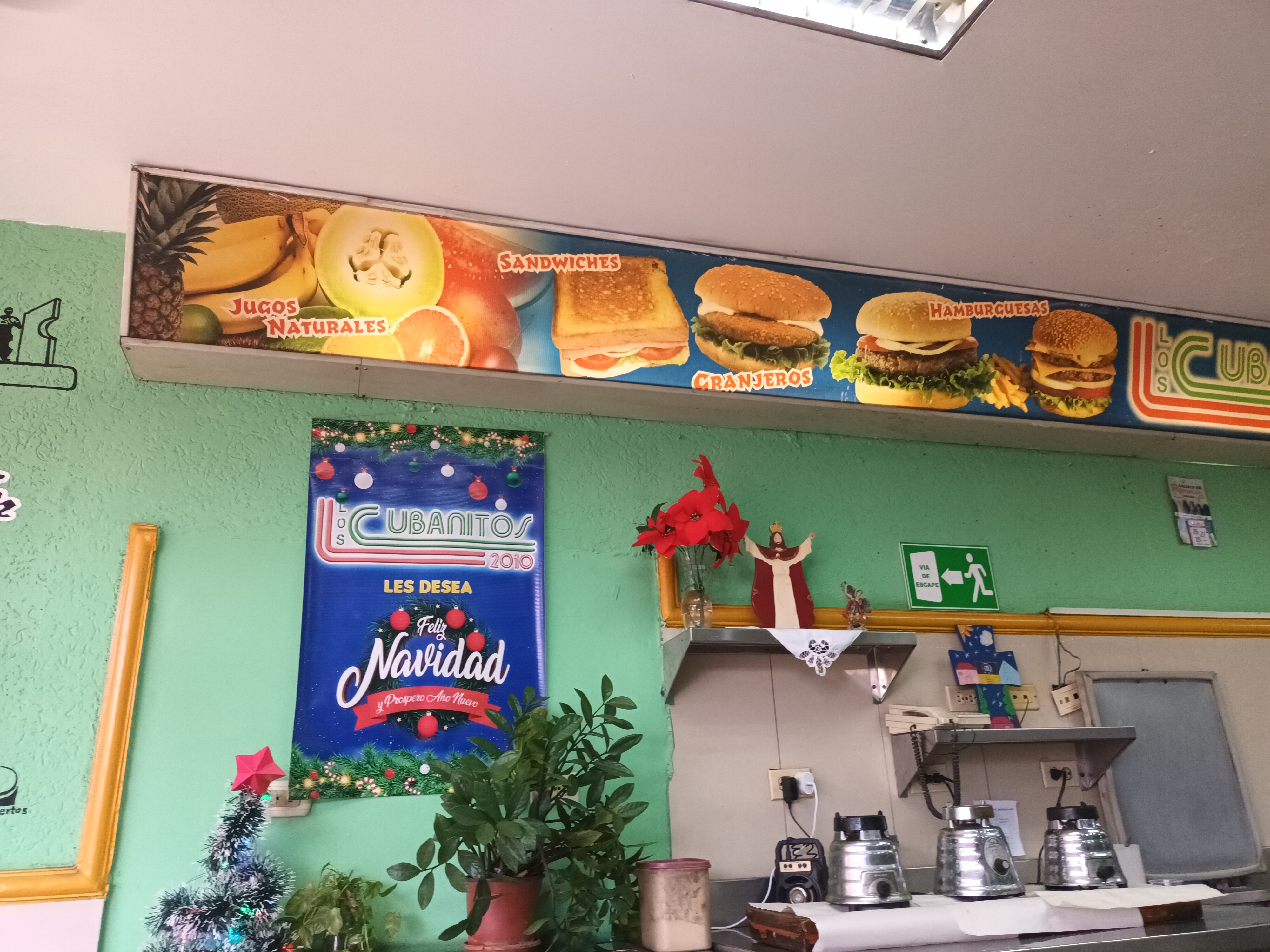 20251129_152404.jpg