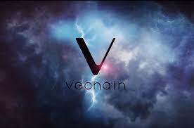 vechain.jpeg
