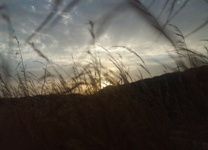20200823_095048.jpg