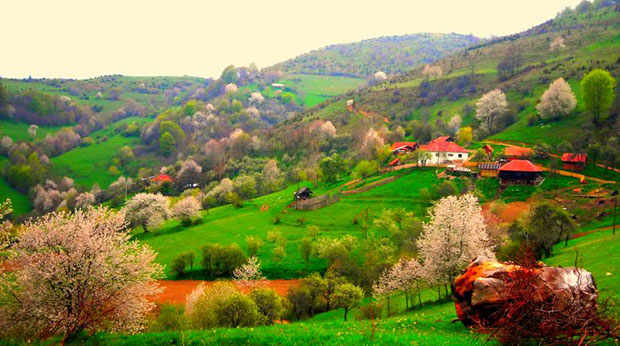 golija-nadmorska-visina.jpg