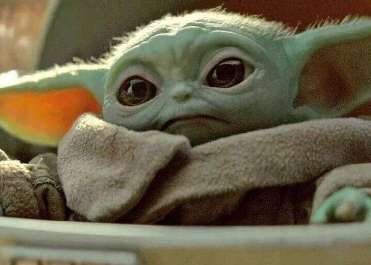 baby-yoda-1882877.jpg