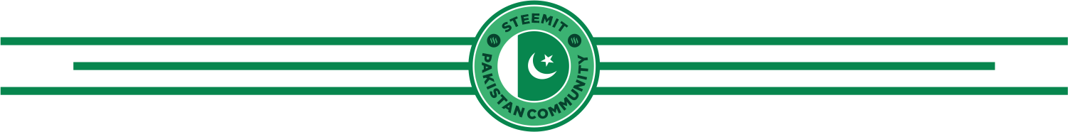 Steem Pakistan Divider 1 (1).png