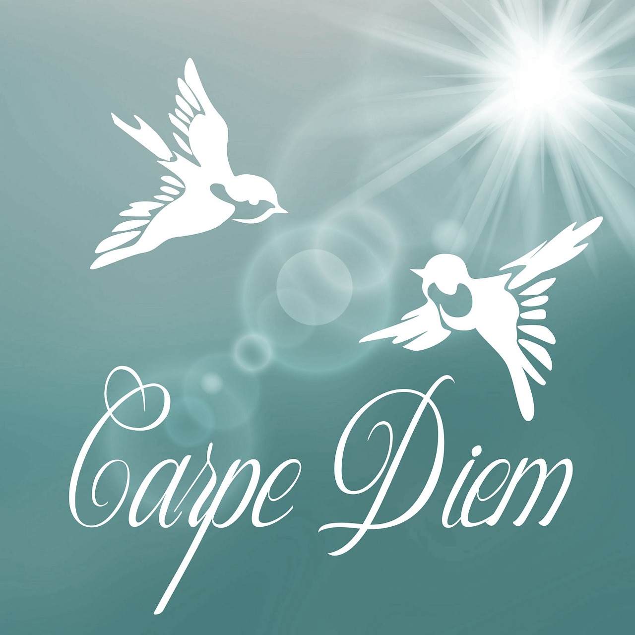 Carpe diem картинка