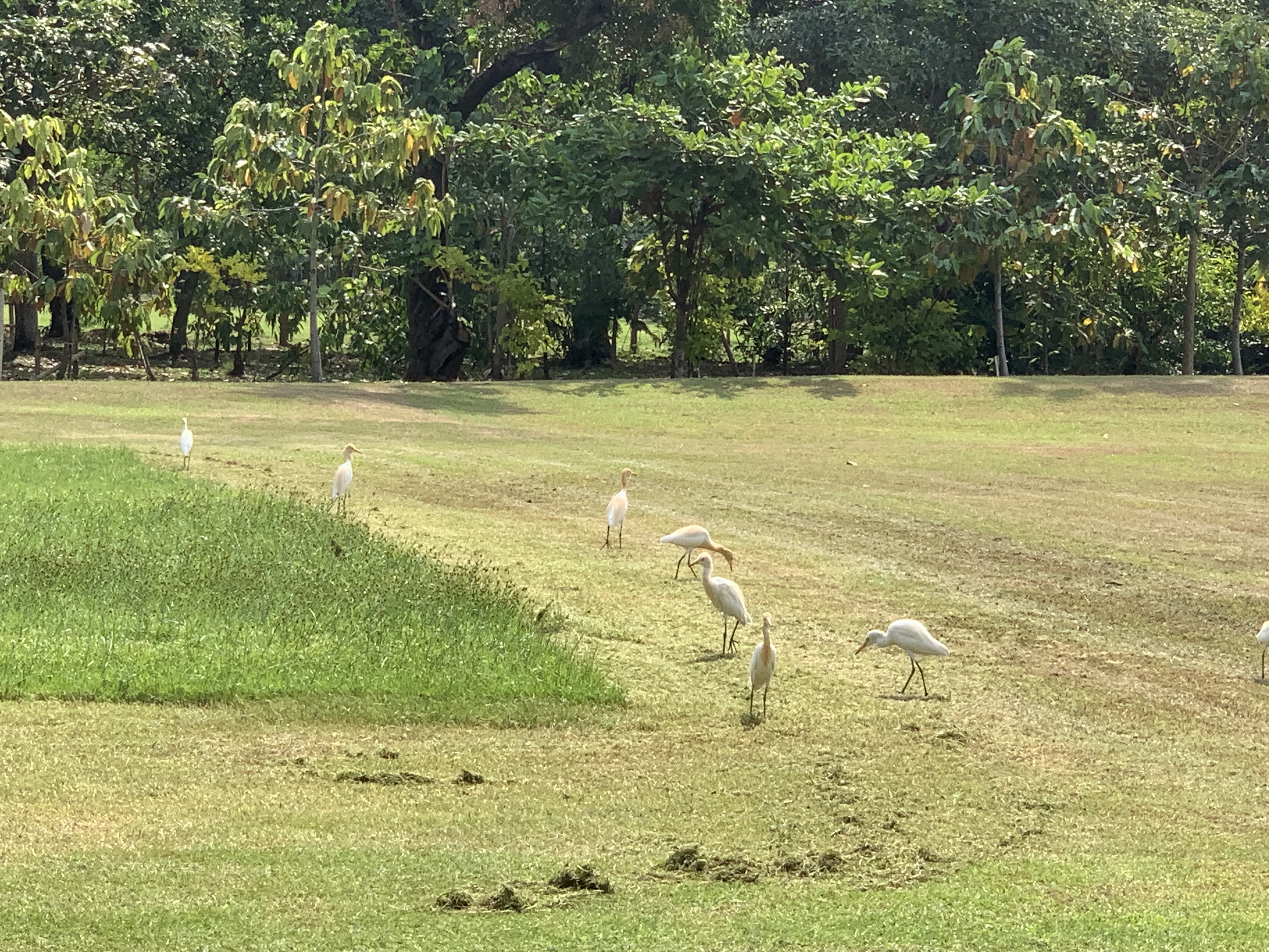 birdwatching spots22.jpg