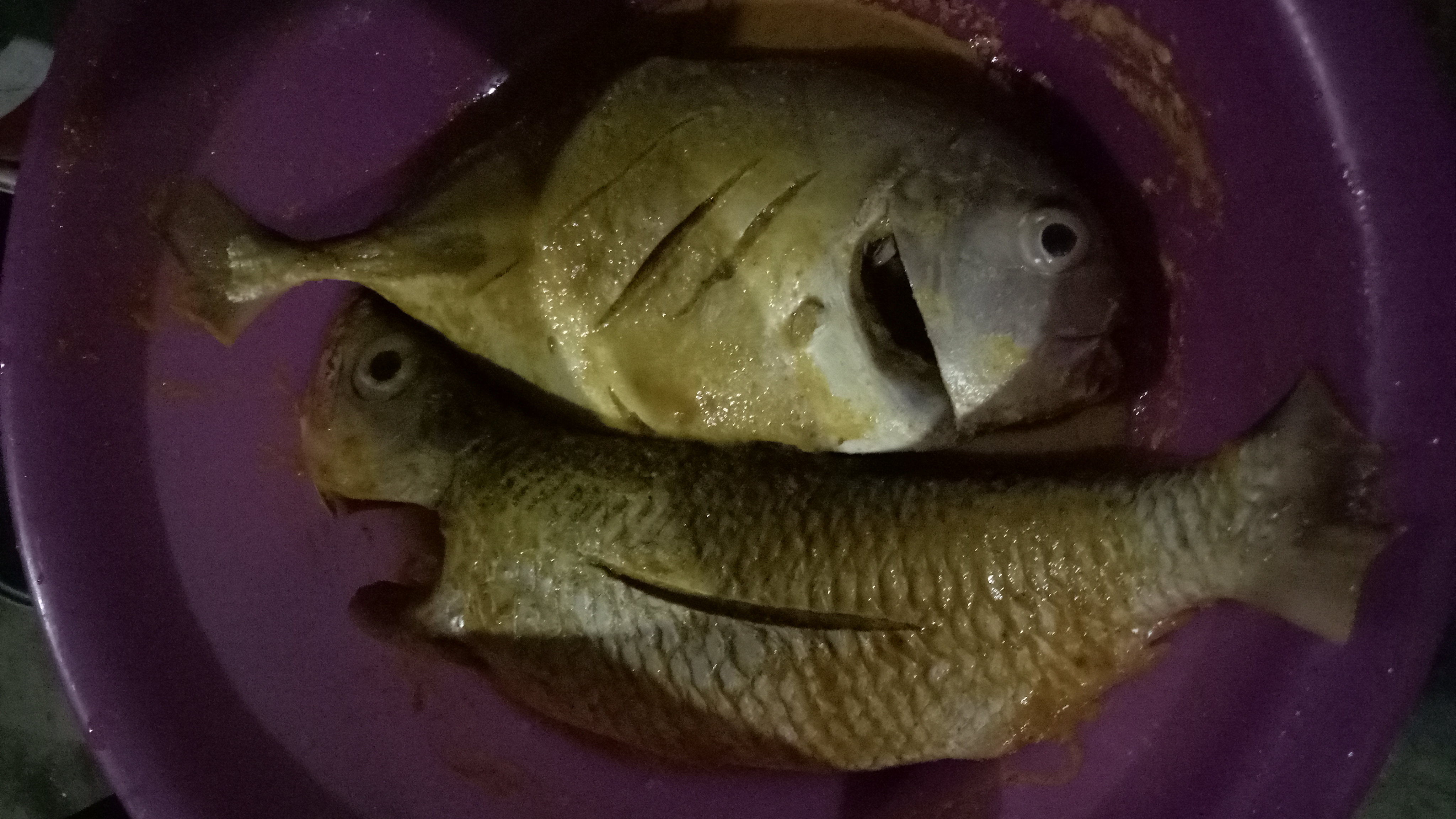 IMG20180818190703.jpg