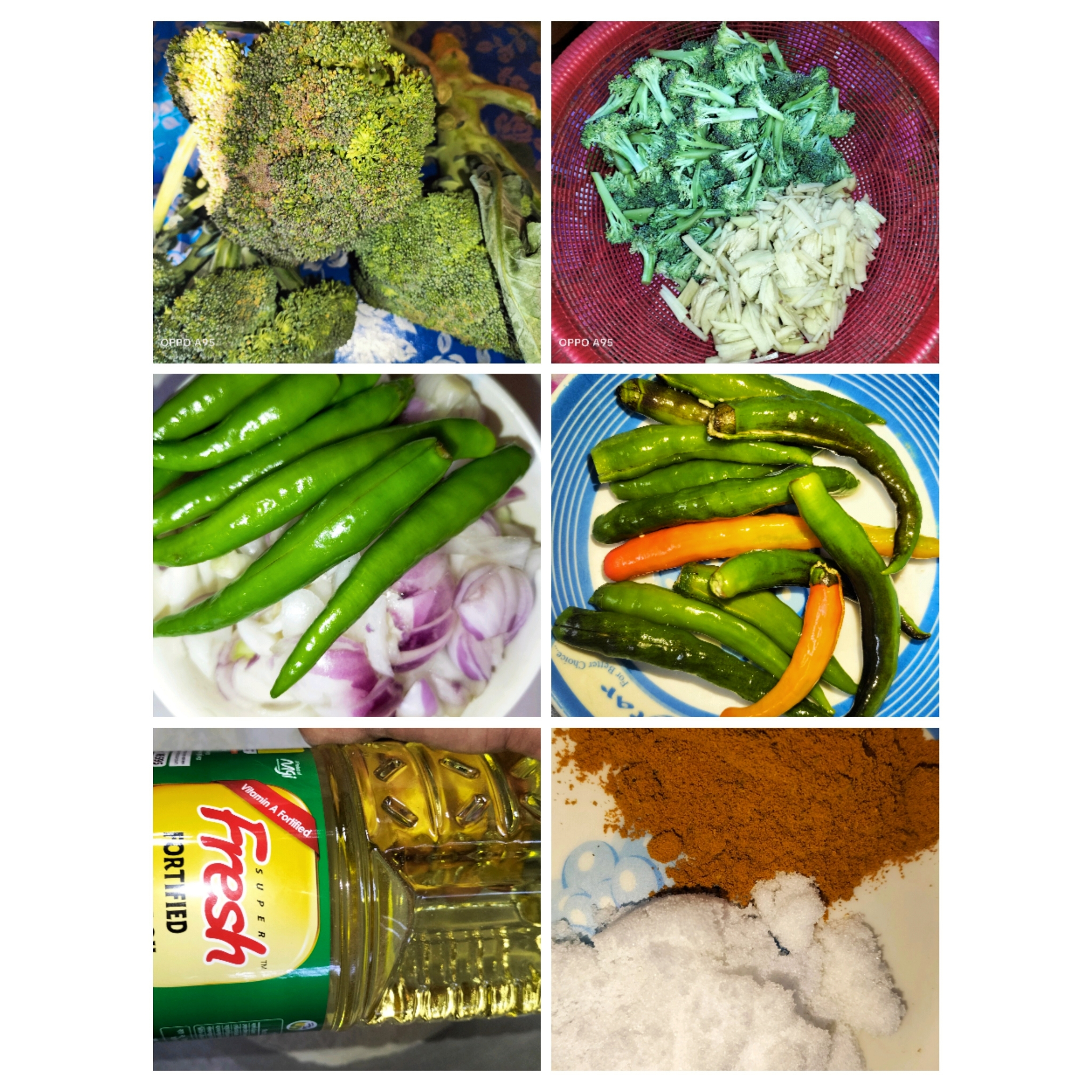 PhotoCollage_1709918674323.jpg