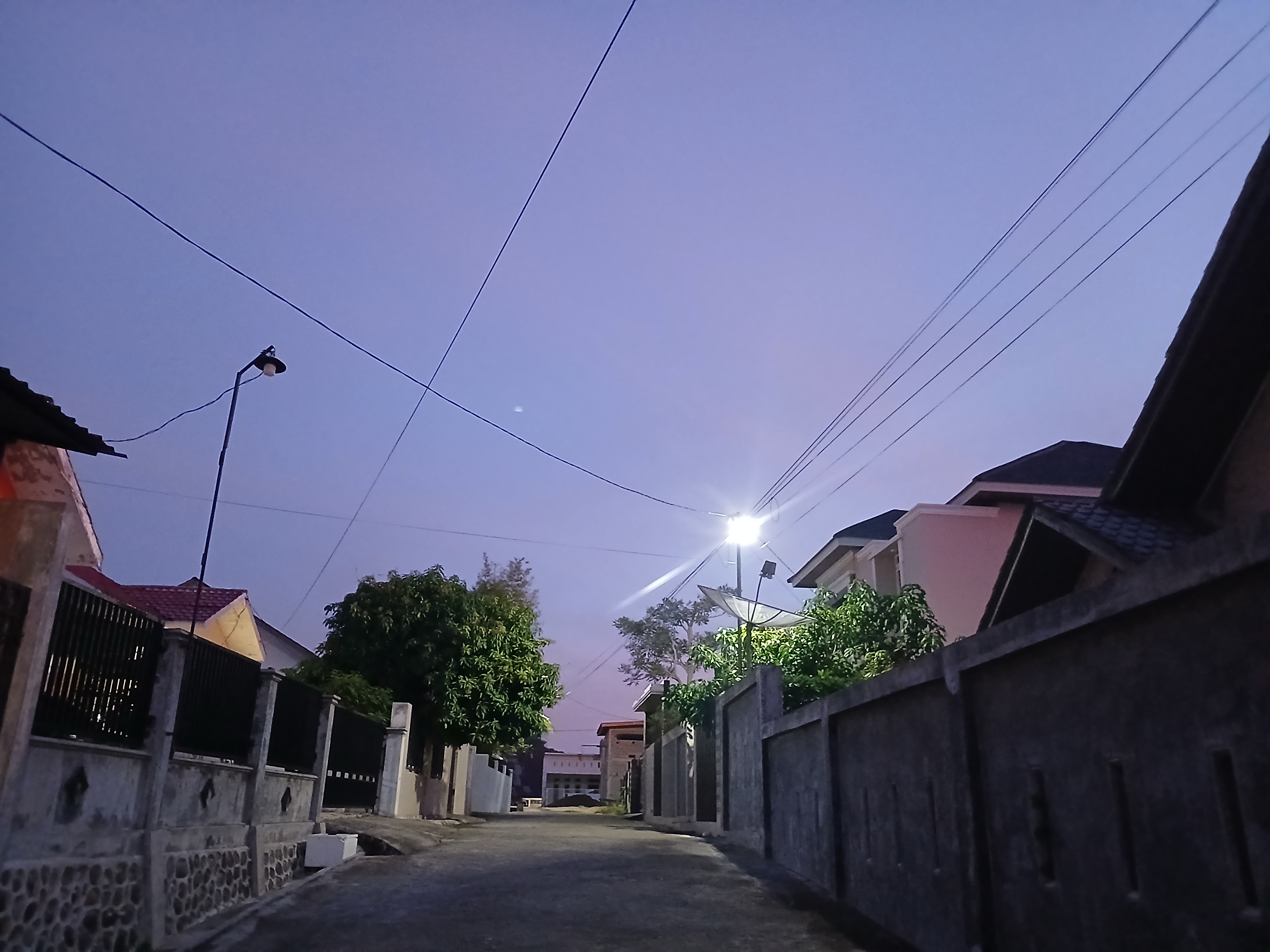 1000471259.jpg