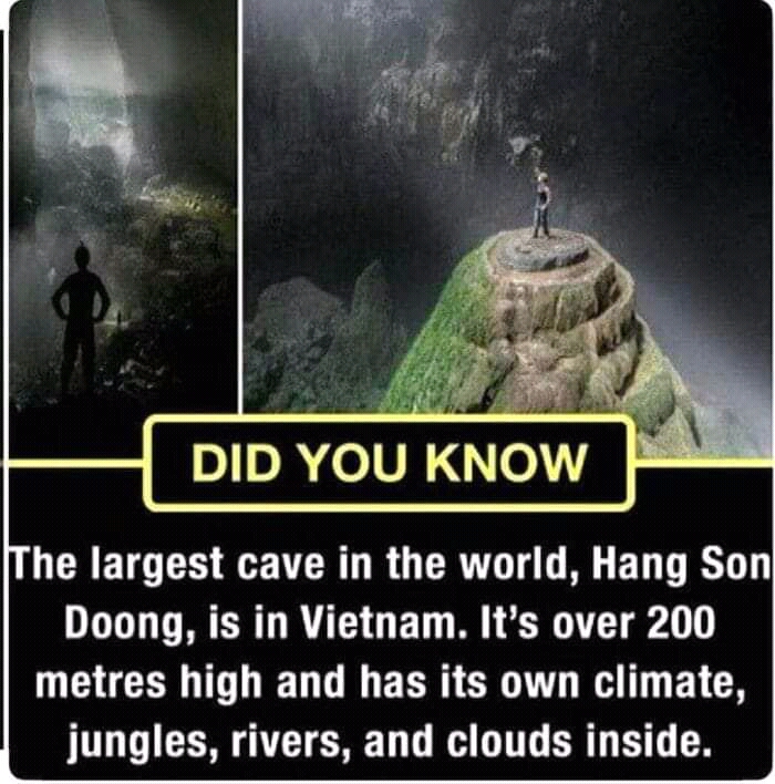 FB_IMG_16224742322201347.jpg