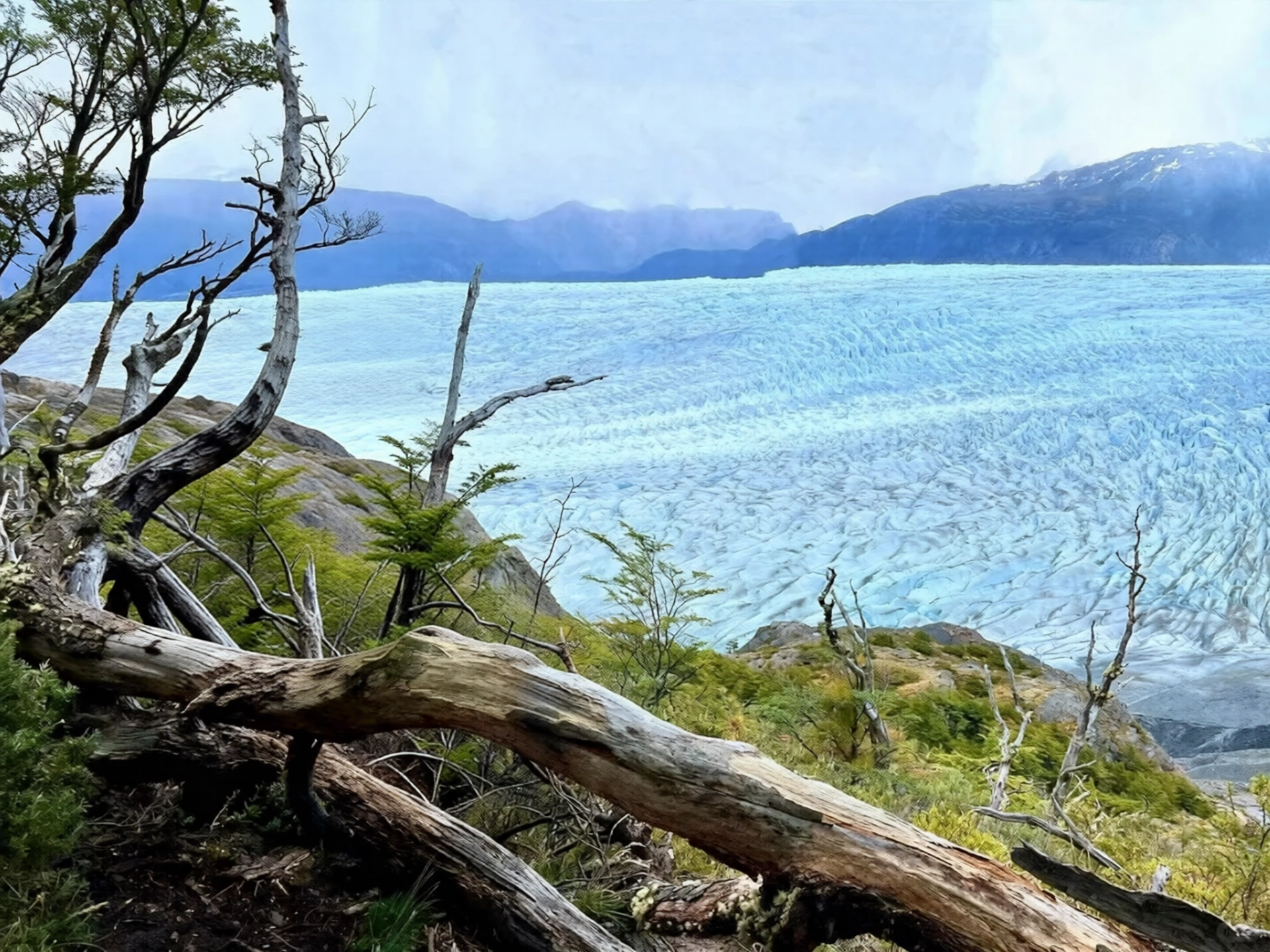 262.webp
