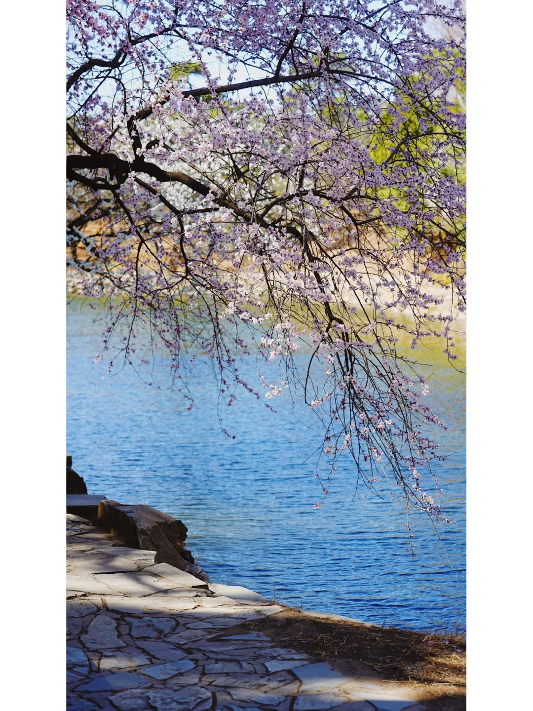 142.webp